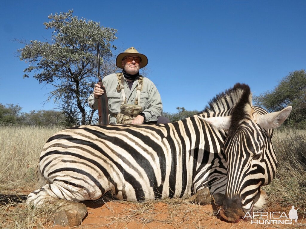 Plains Zebra Hunting Namibia