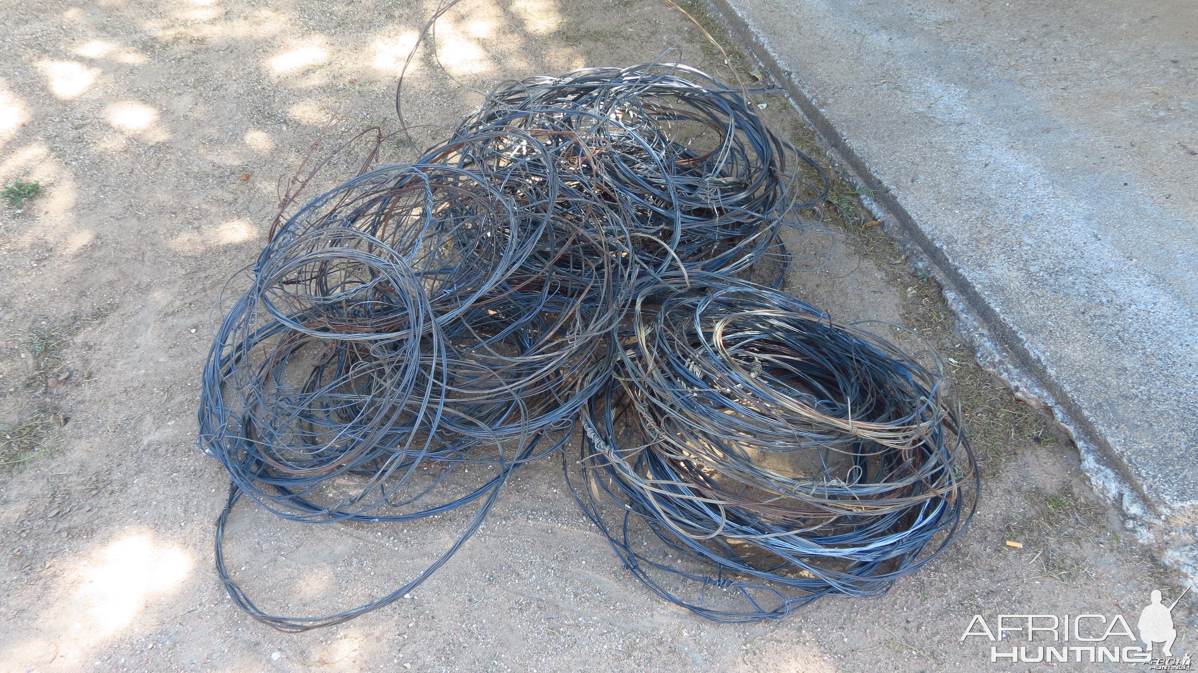 Poacher Snares Namibia