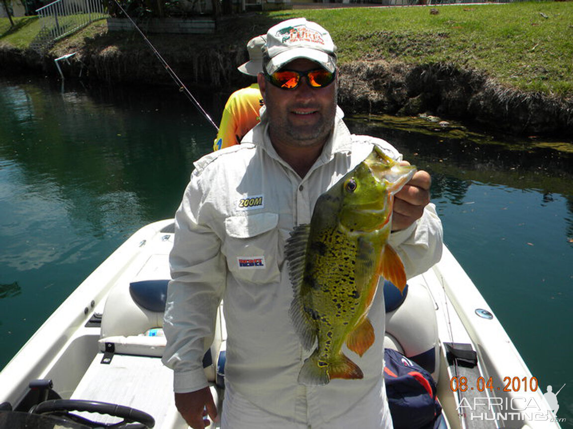 Polarized Sunglasses for Fishing - Peacock Bass