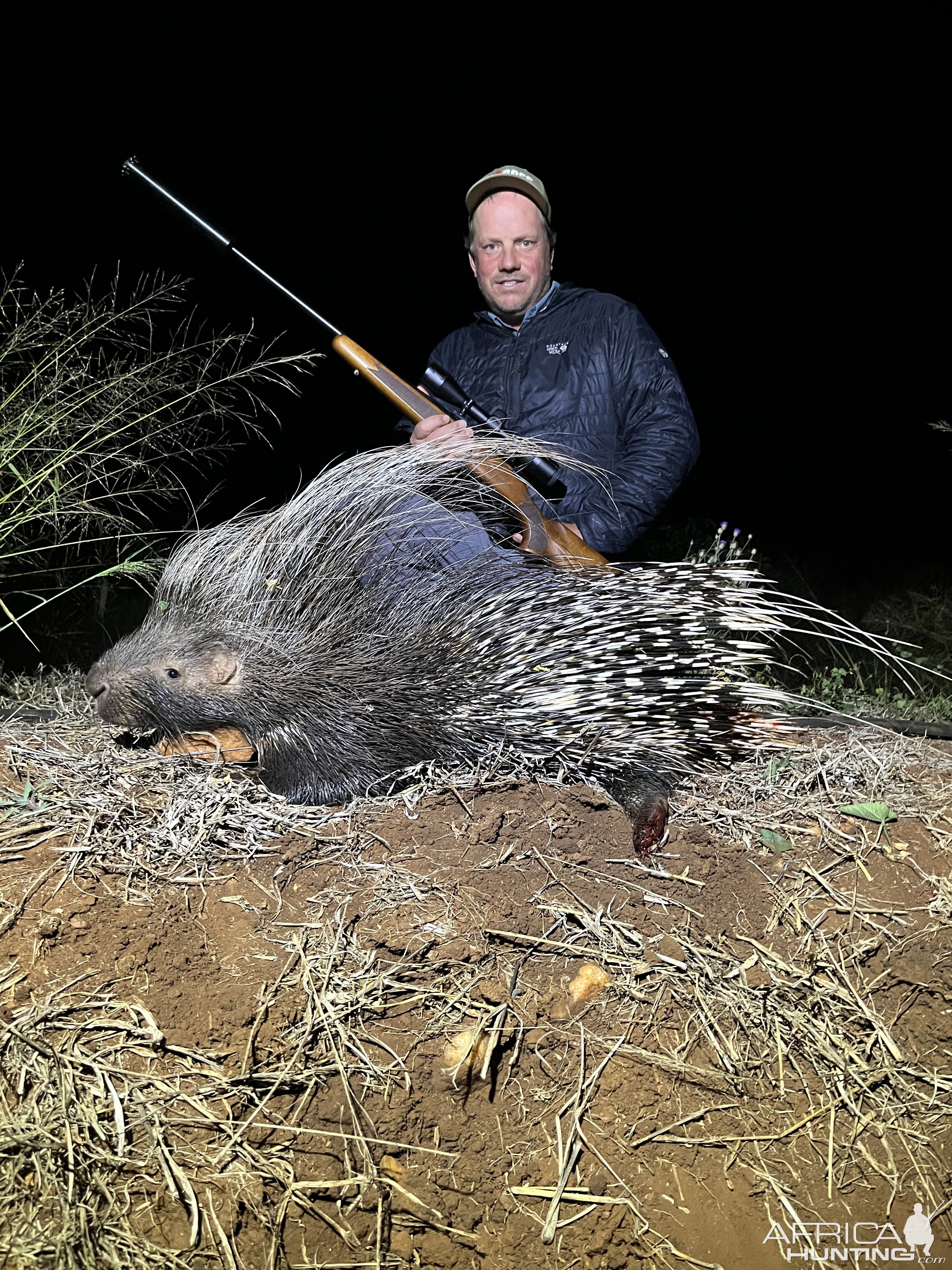 Porcupine Hunt Limpopo South Africa