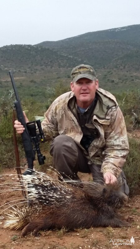 Porcupine Hunt South Africa