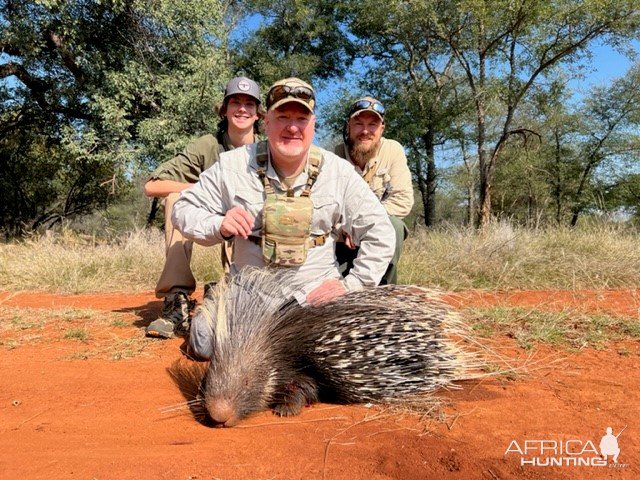 Porcupine Hunting South Africa