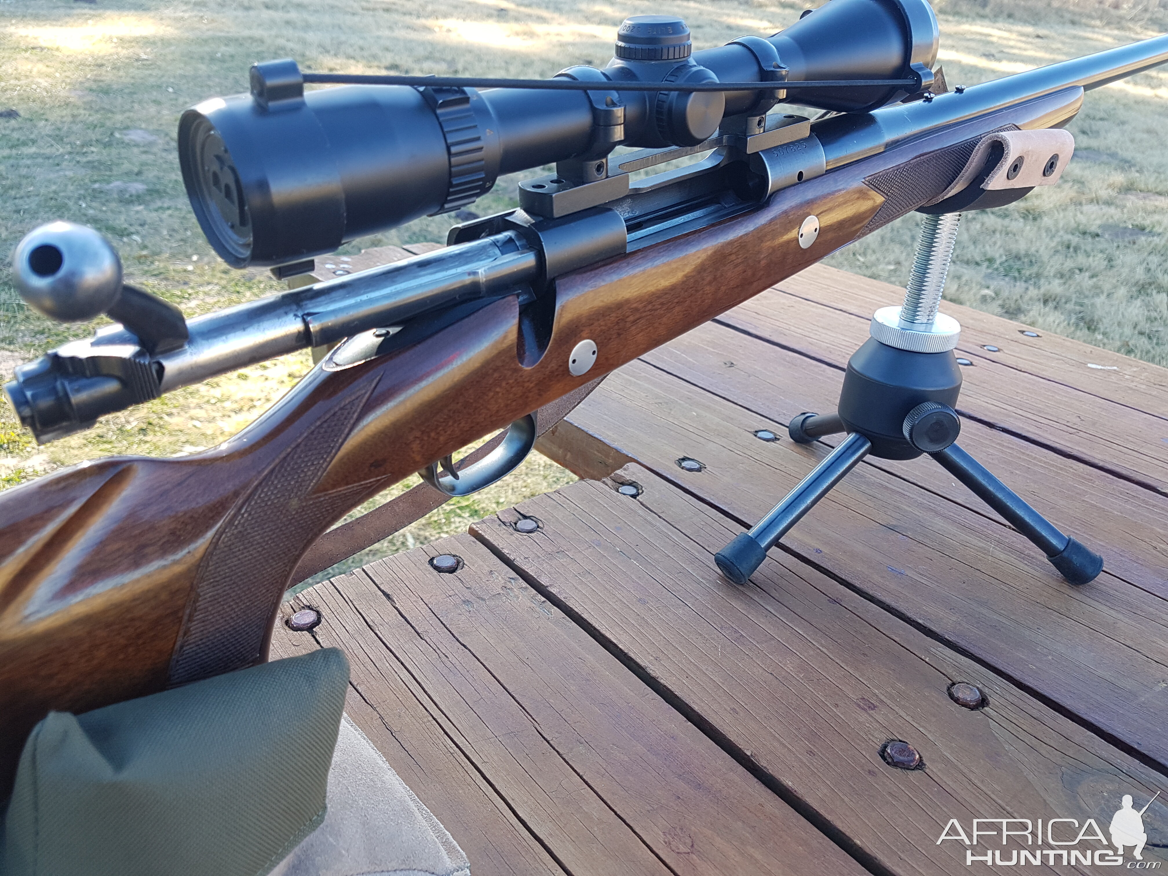 Pre64 in 375 Rifle