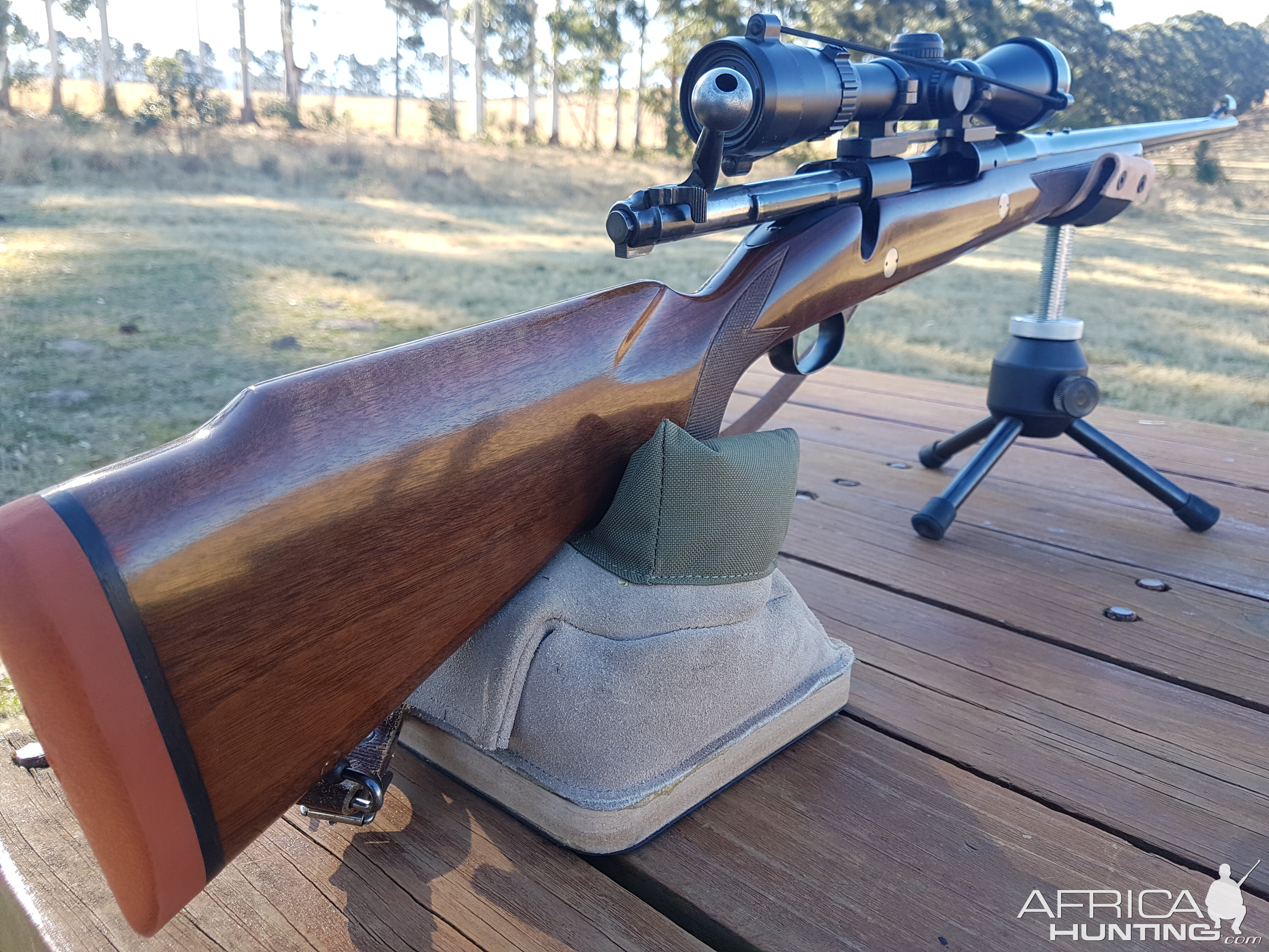 Pre64 in 375 Rifle