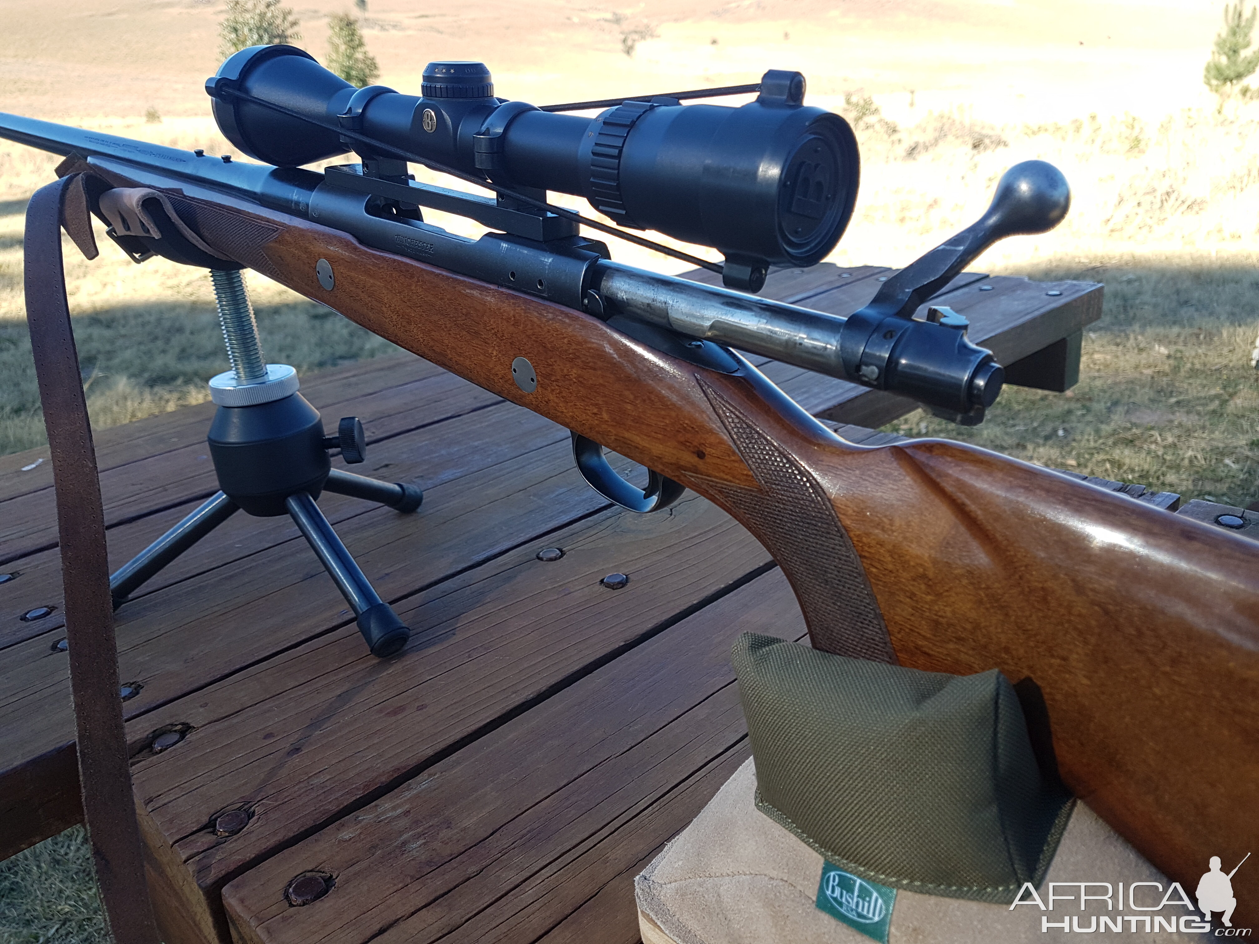 Pre64 in 375 Rifle