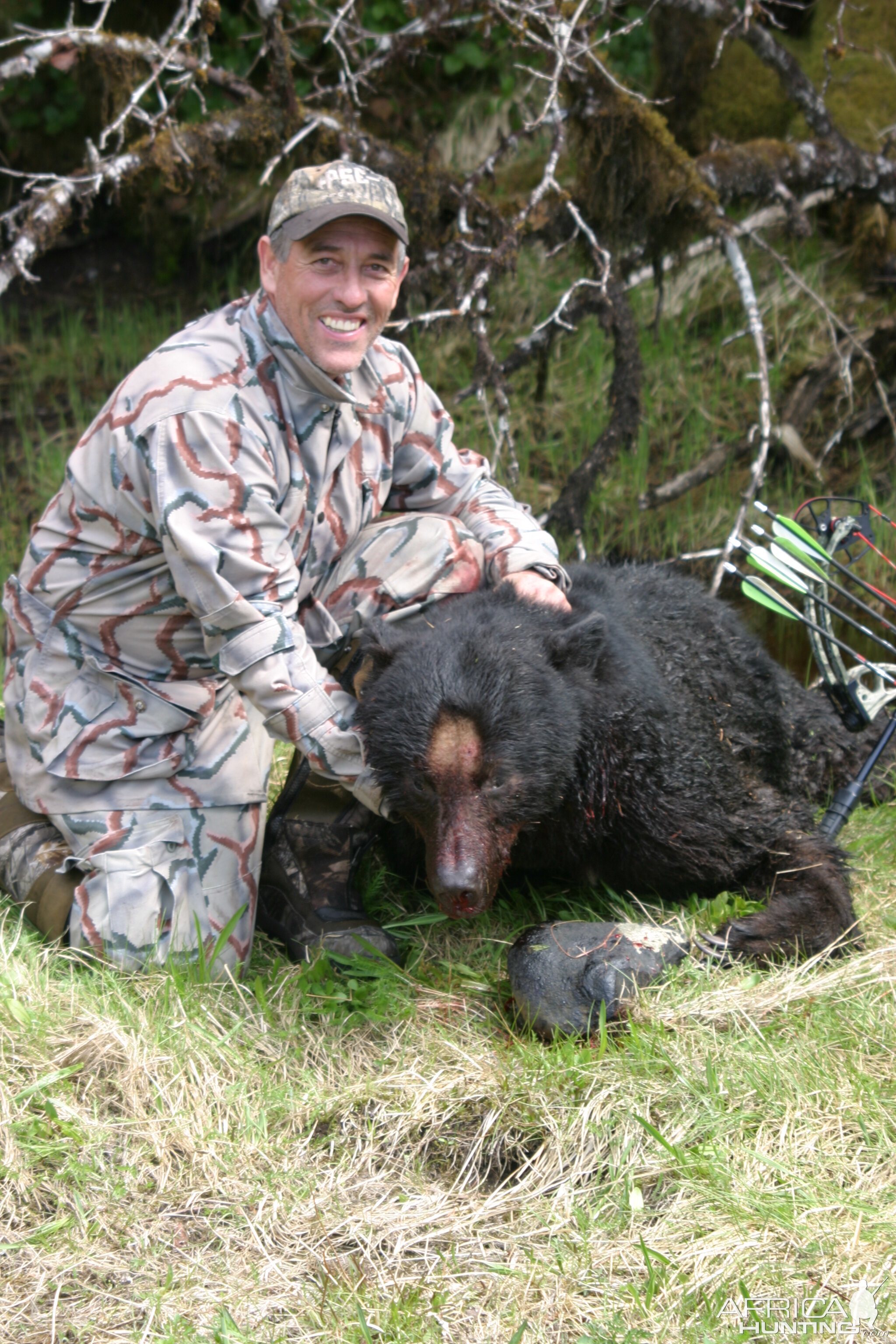 Prince of Wales Coastal Black Bear