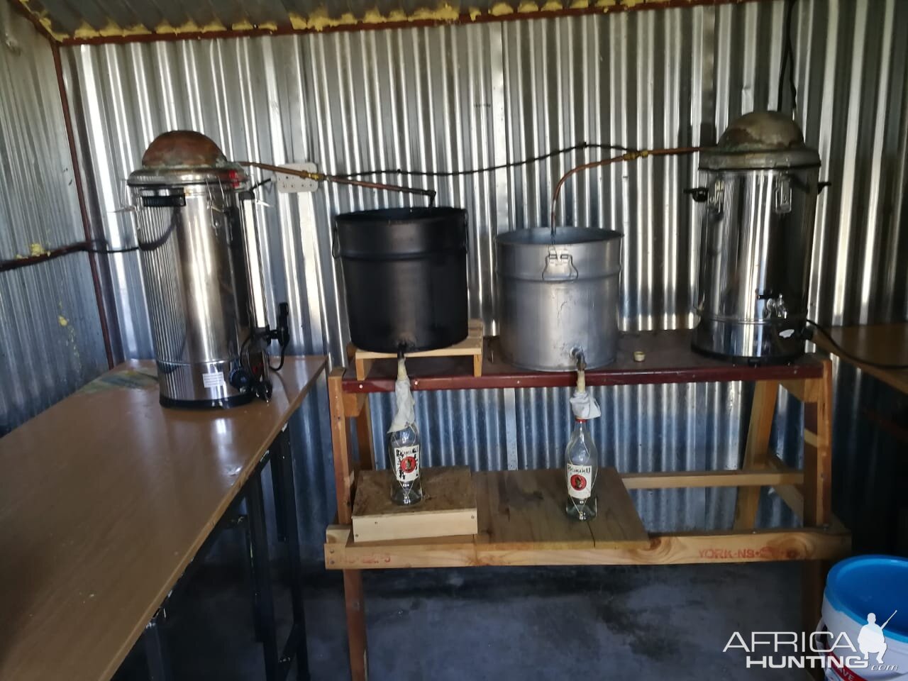 Producing distilled spirits