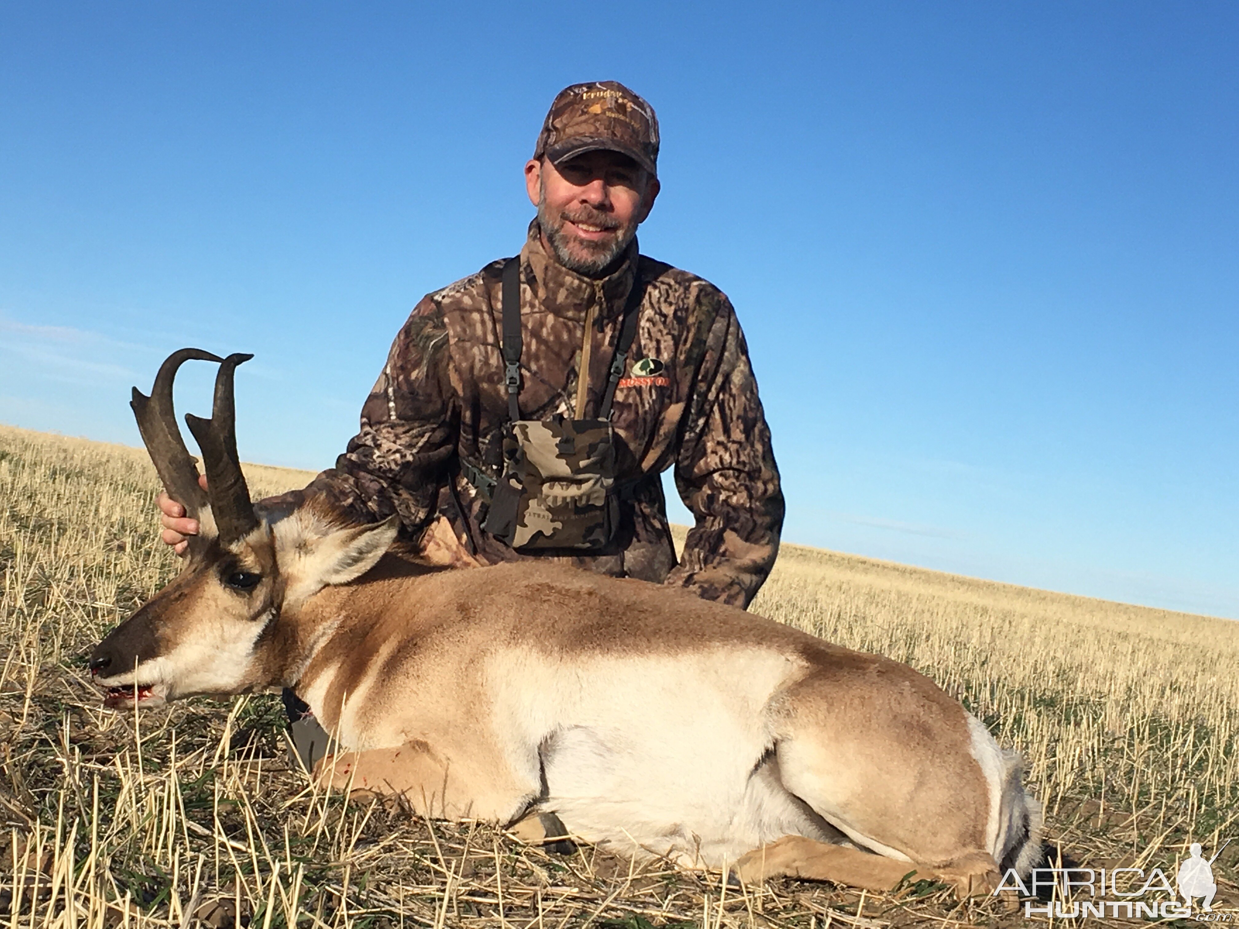 Pronghorn Antelope Hunt