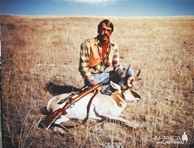 Pronghorn Antelope