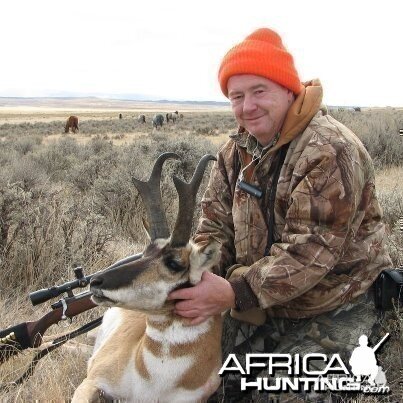 Pronghorn antelope