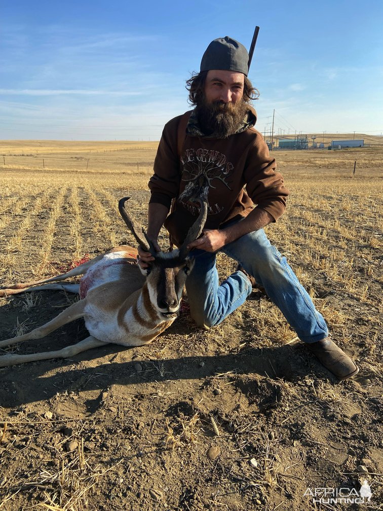 Pronghorn Hunt Alberta Canada