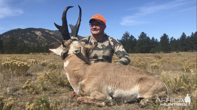 Pronghorn Hunt Colorado USA