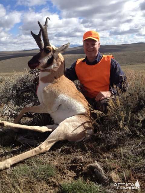 Pronghorn Hunt Colorado