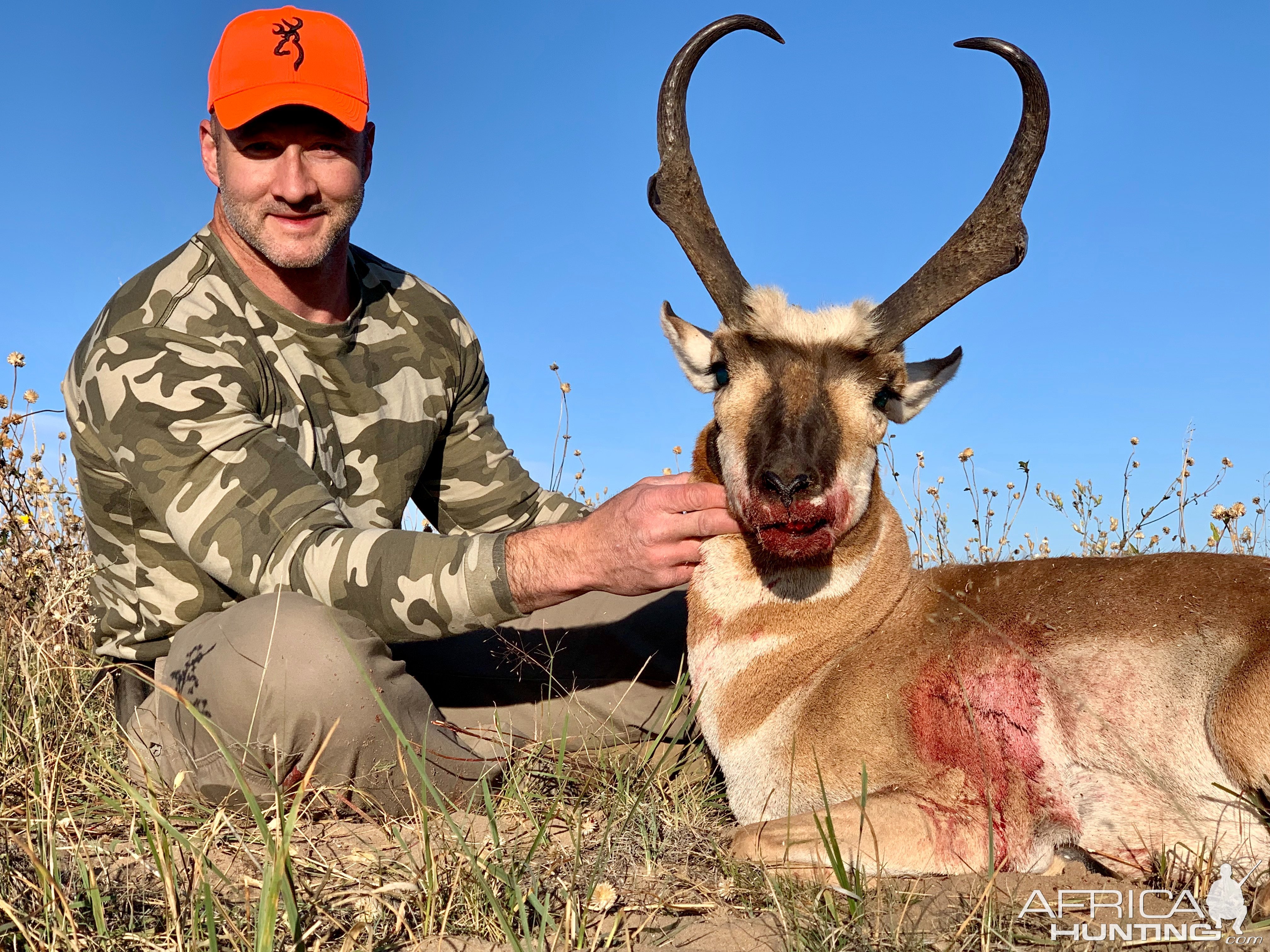 Pronghorn Hunt Colorado