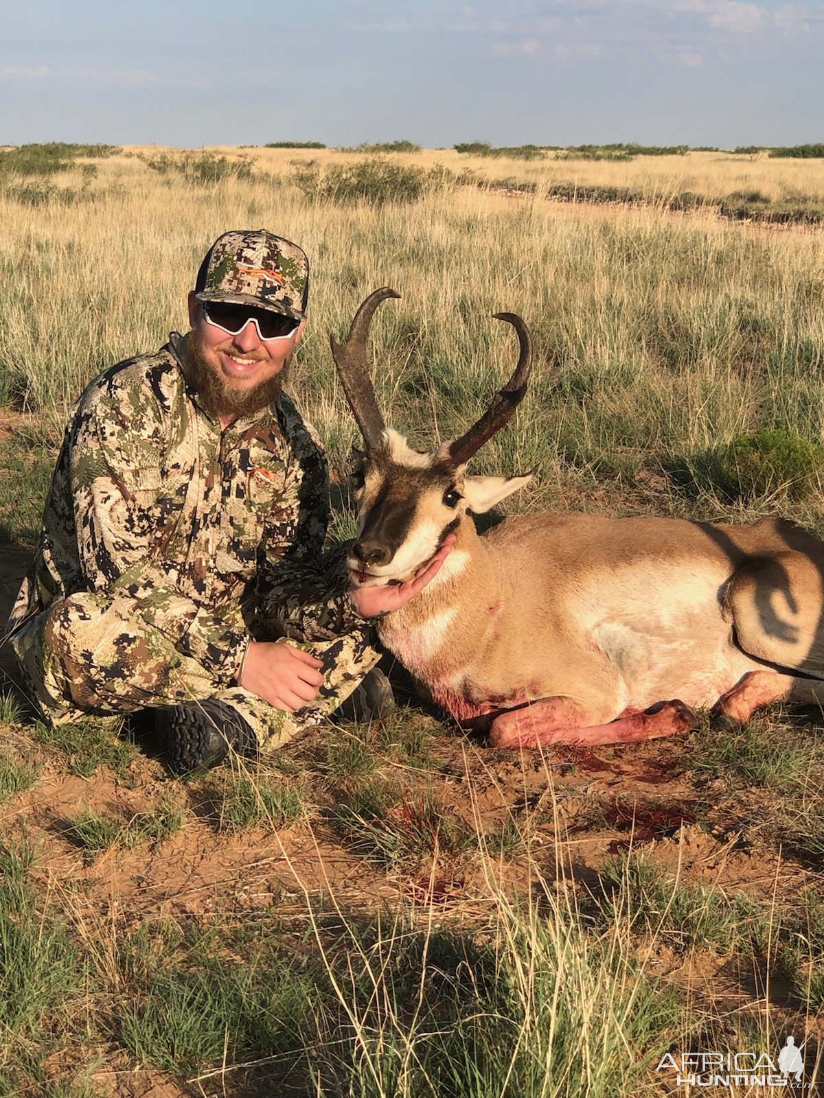 Pronghorn Hunt New Mexico