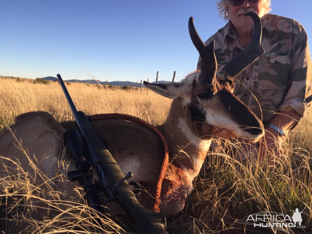 Pronghorn Hunt New Mexico