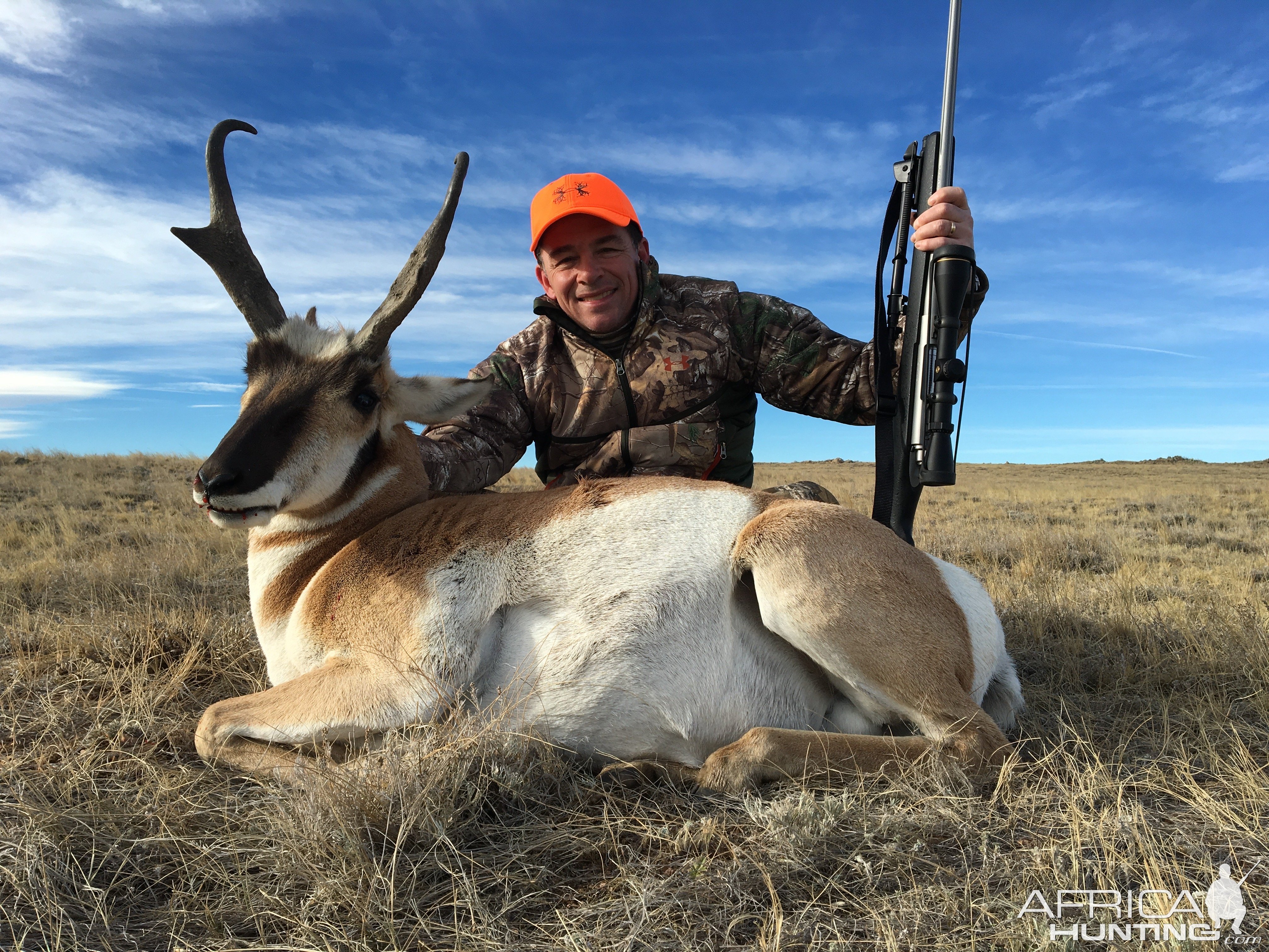 Pronghorn Hunt North America