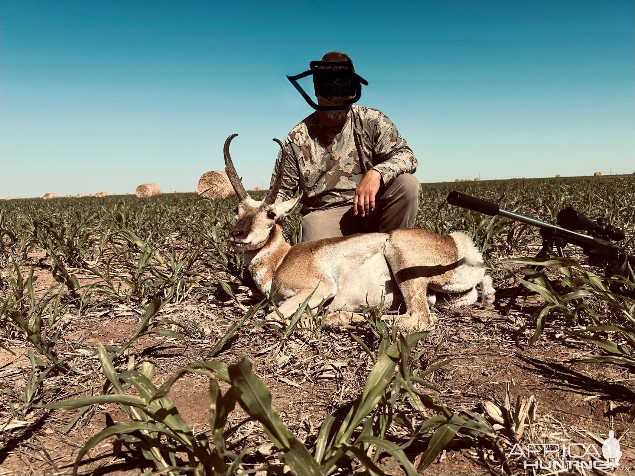 Pronghorn Hunt Texas