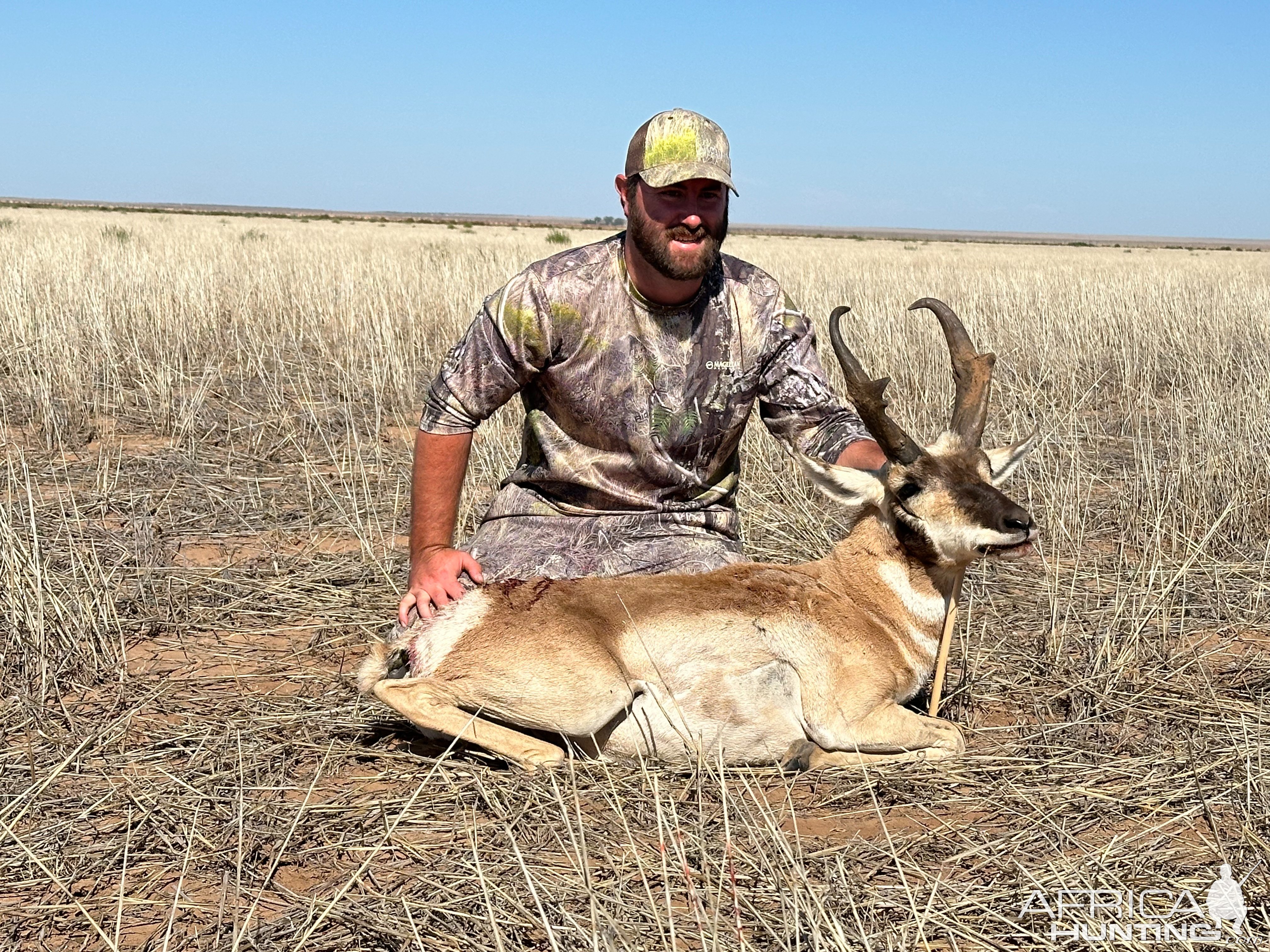 Pronghorn Hunt Texas