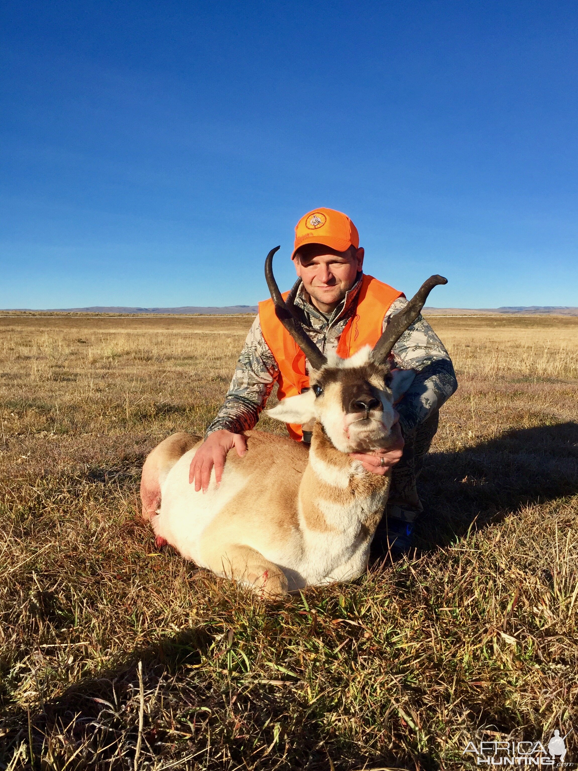 Pronghorn Hunt Utah