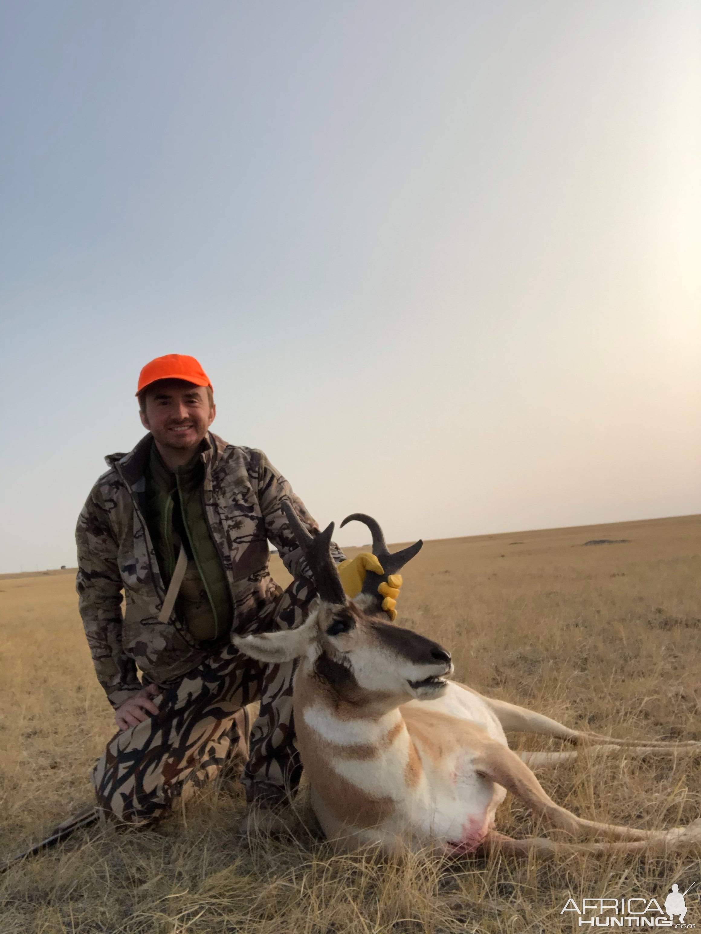 Pronghorn Hunt Wyoming