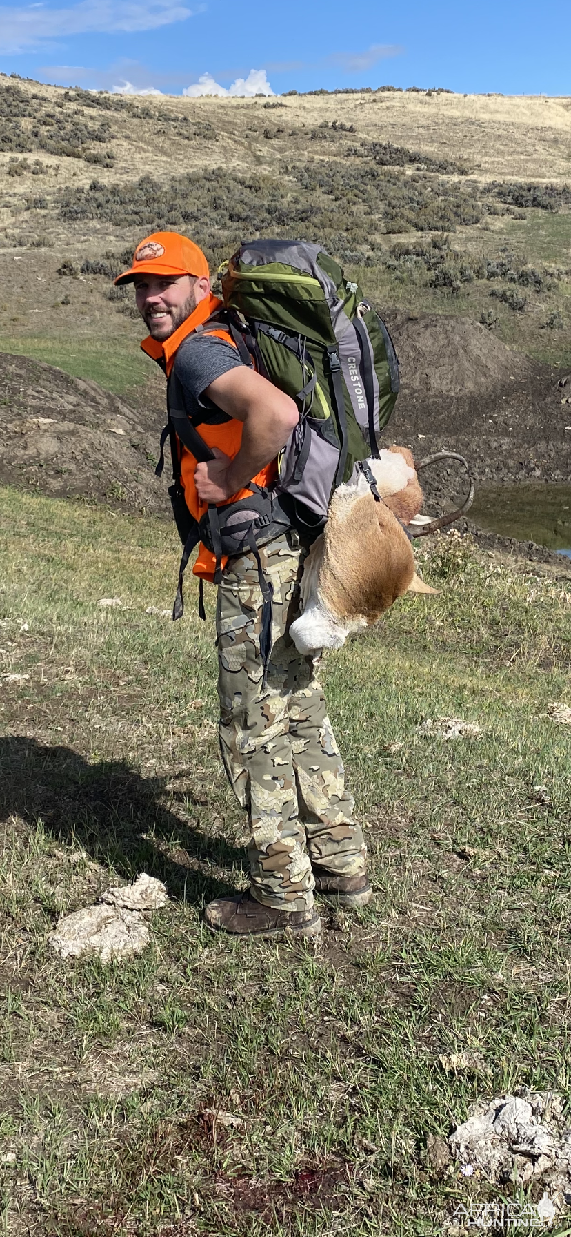 Pronghorn Hunting Colorado