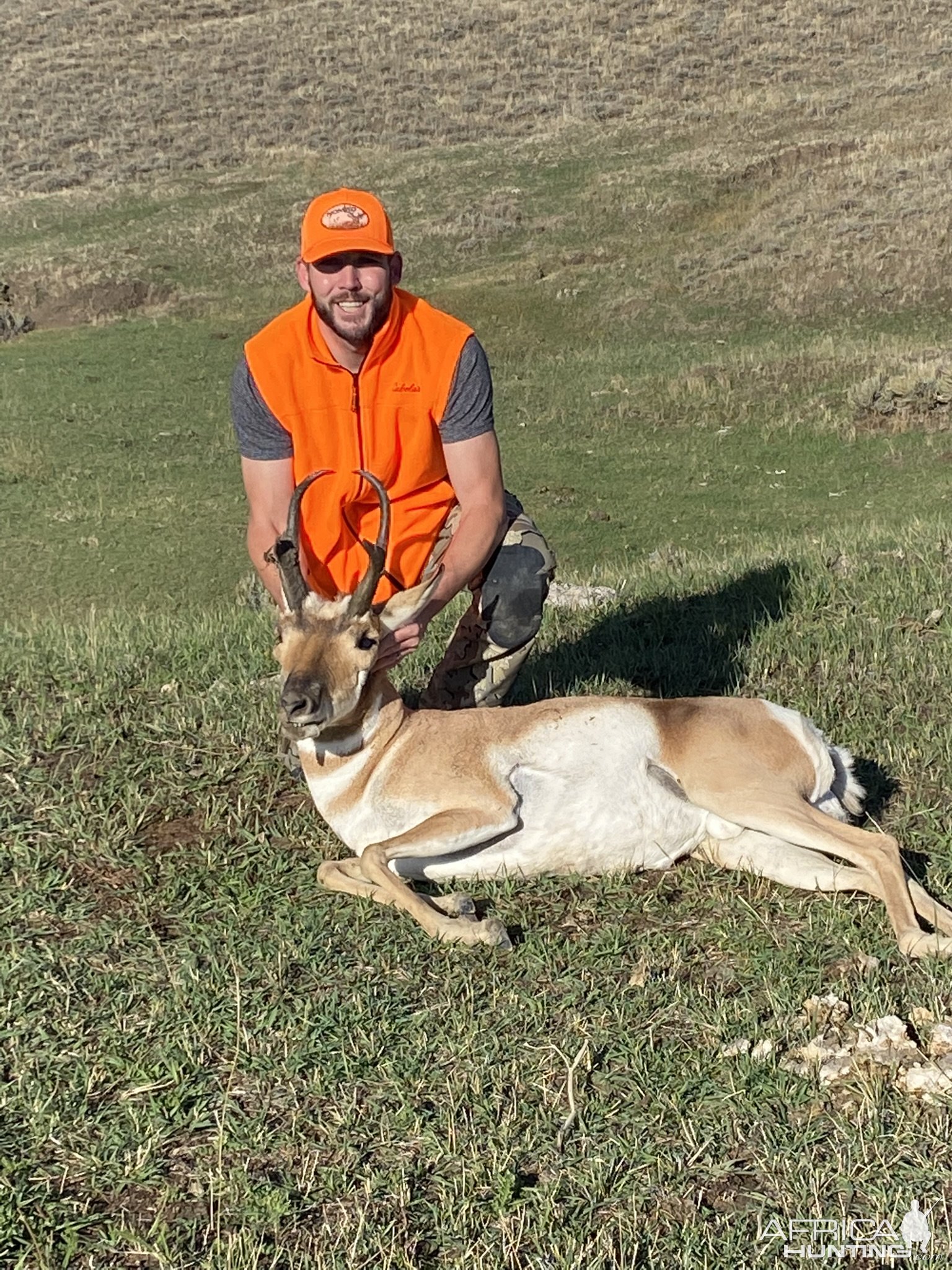 Pronghorn Hunting Colorado