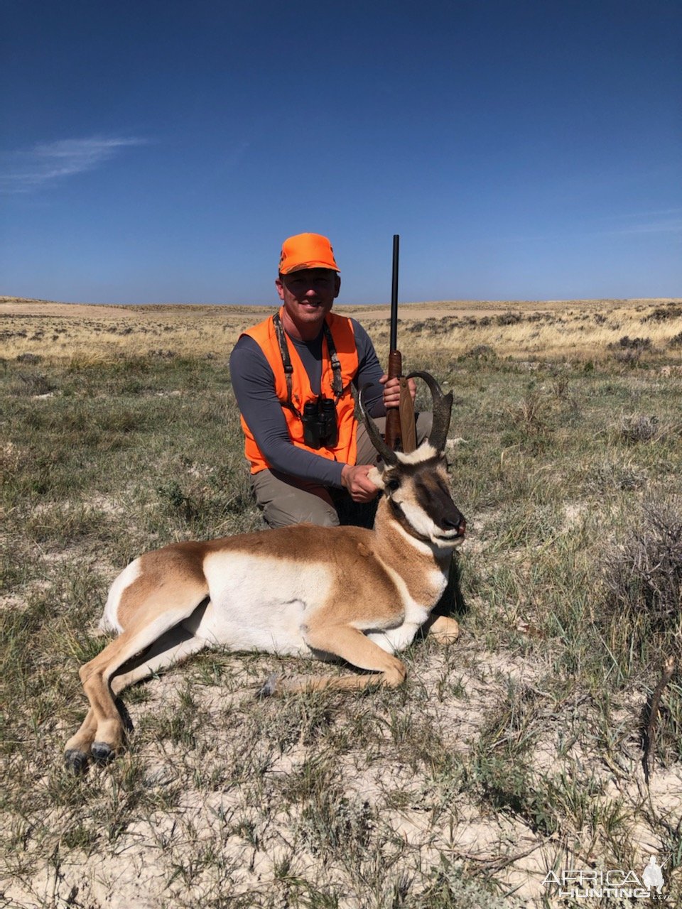 Pronghorn Hunting Wyoming