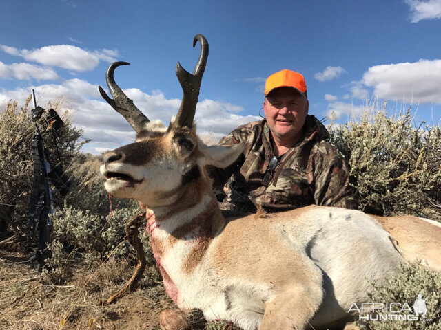 Pronghorn Hunting