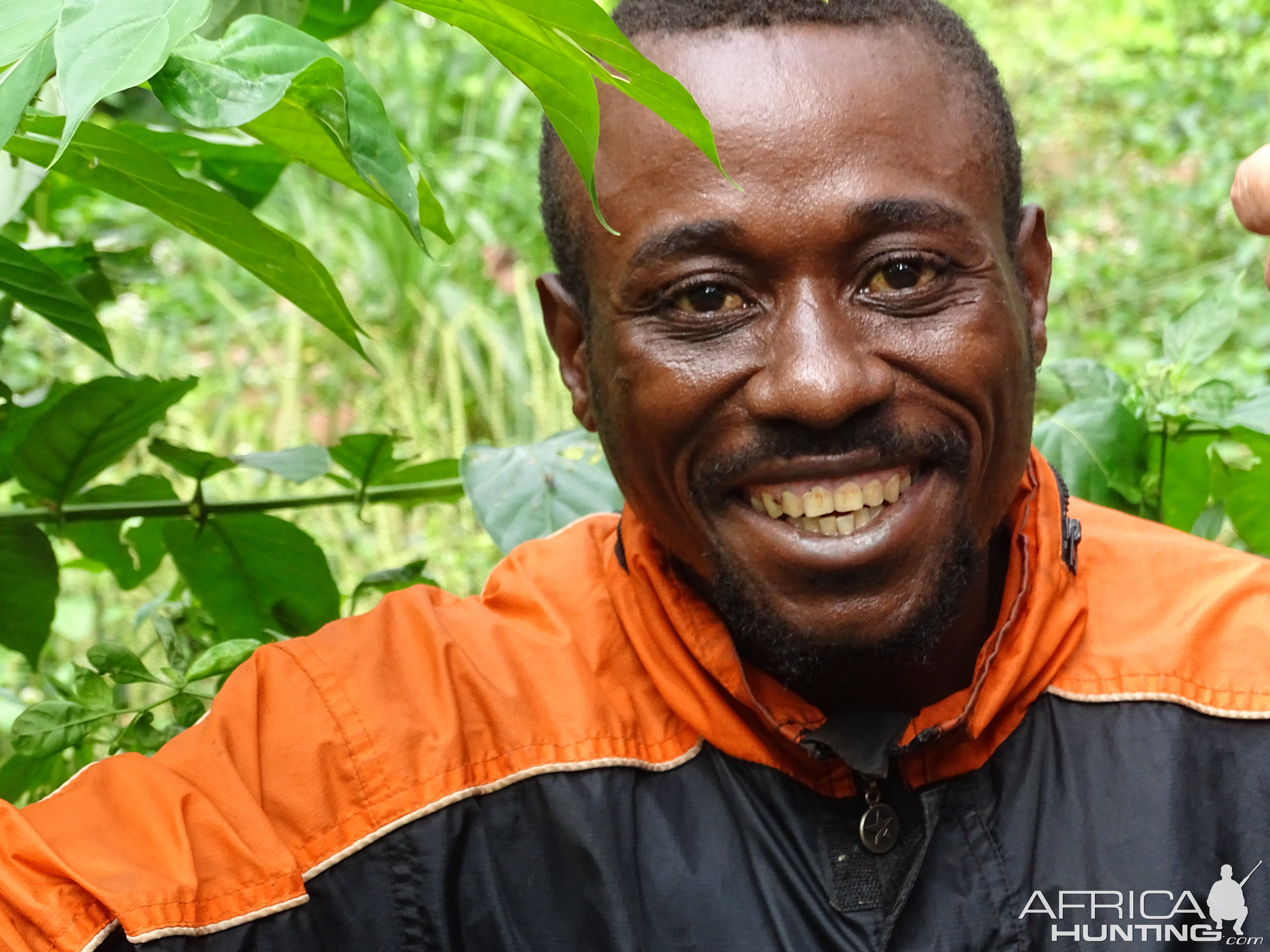 Pygmy in Congo