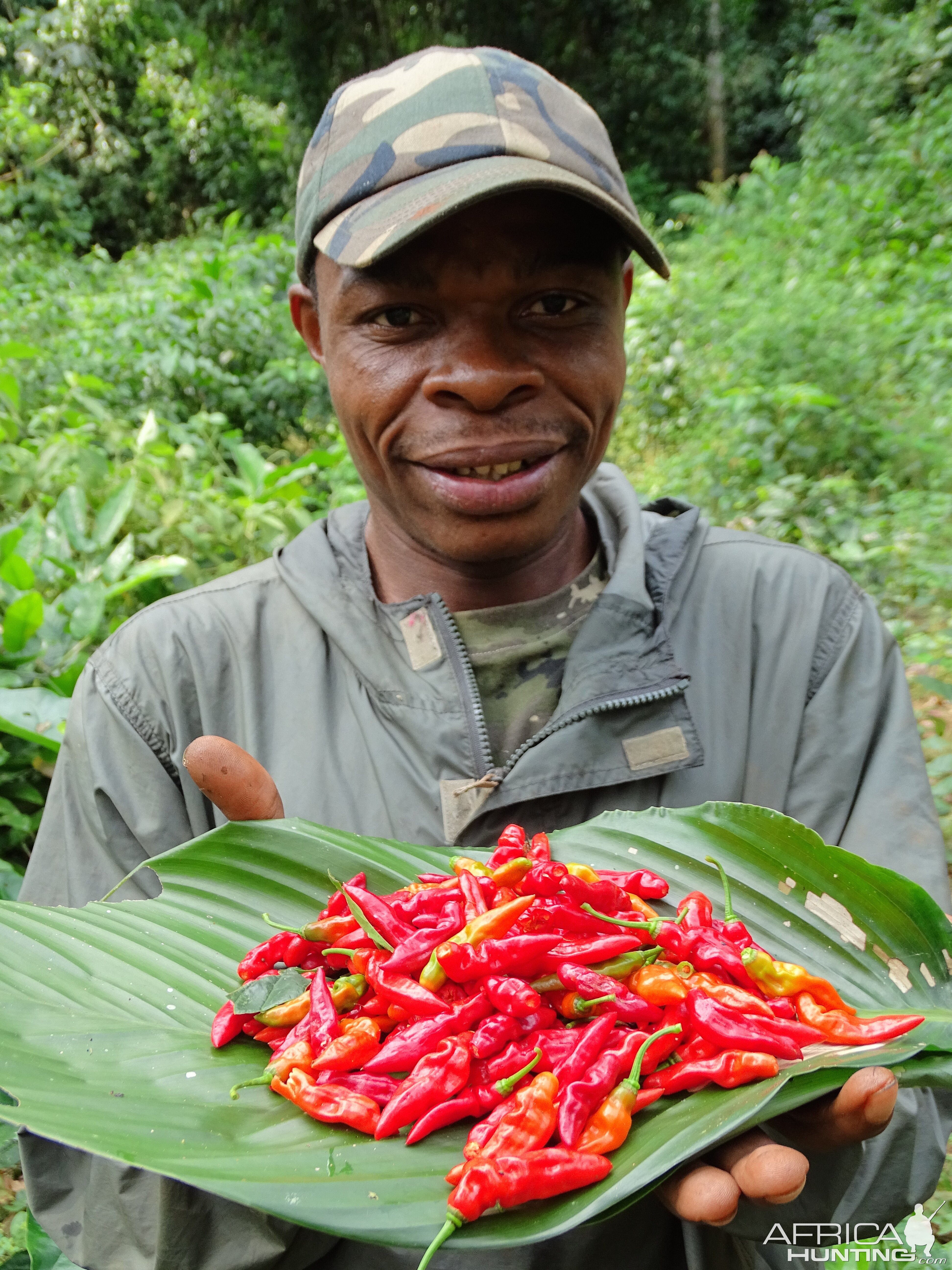 Pygmy in Congo