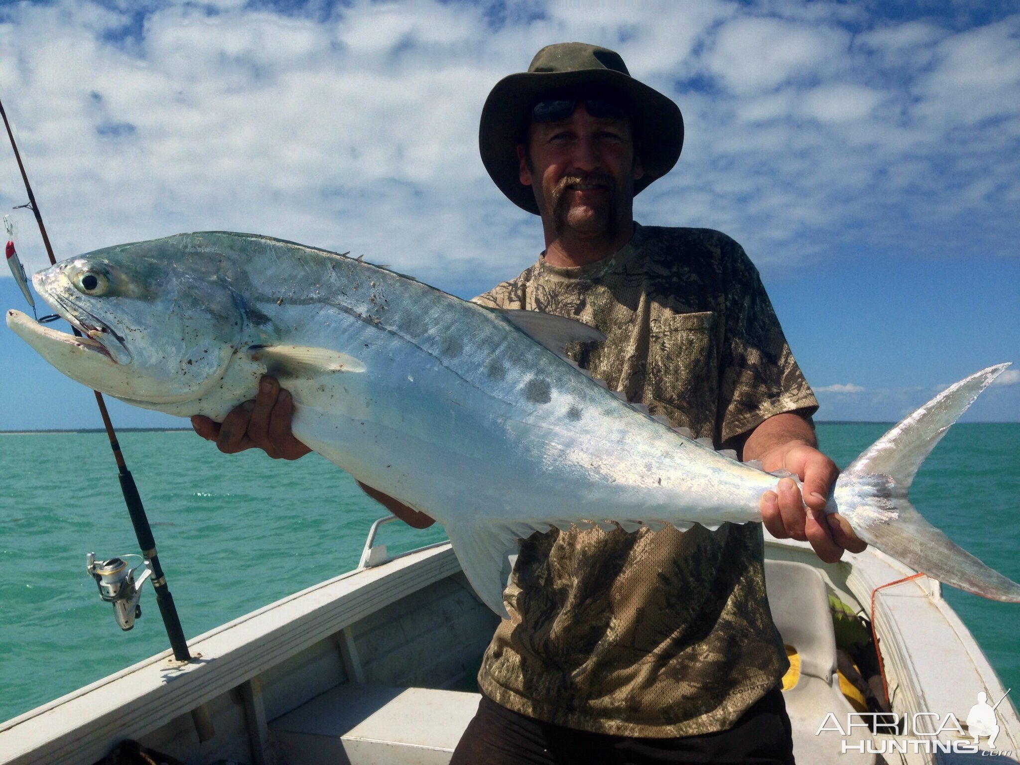 Queen Fish- Australia