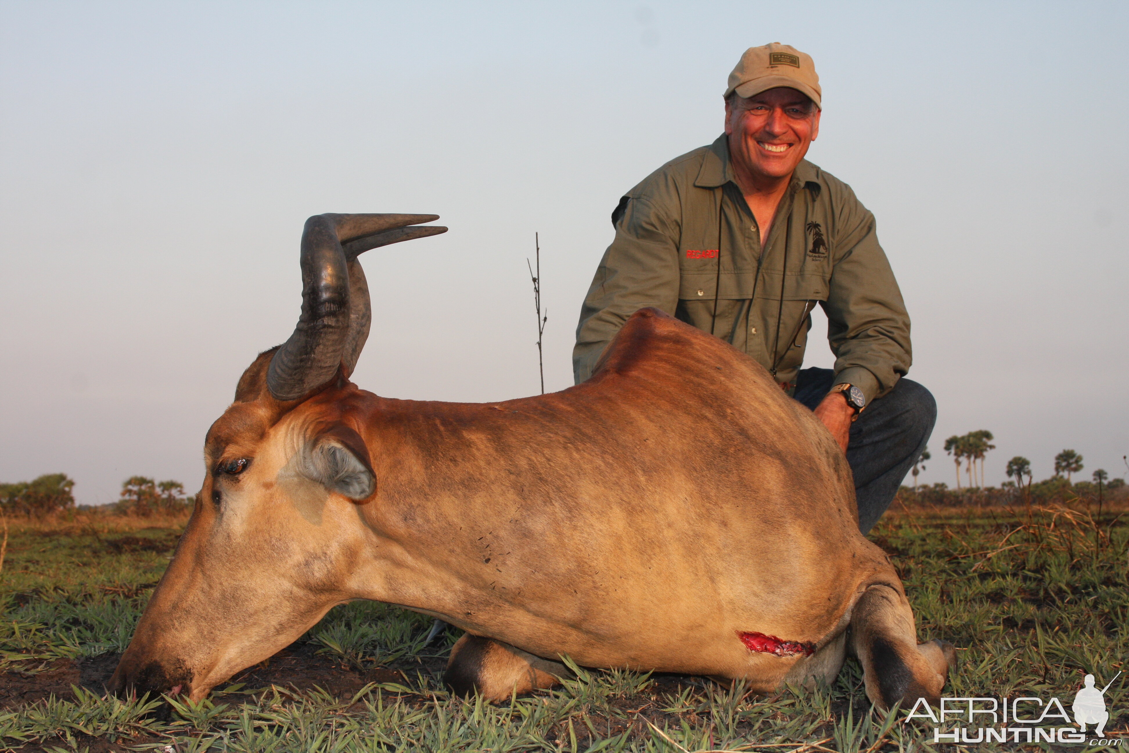 R&W Lichtenstein Hartebeest Coutada 14 Mozambique