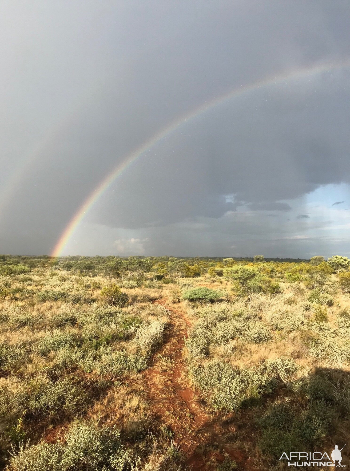 Rain over bush