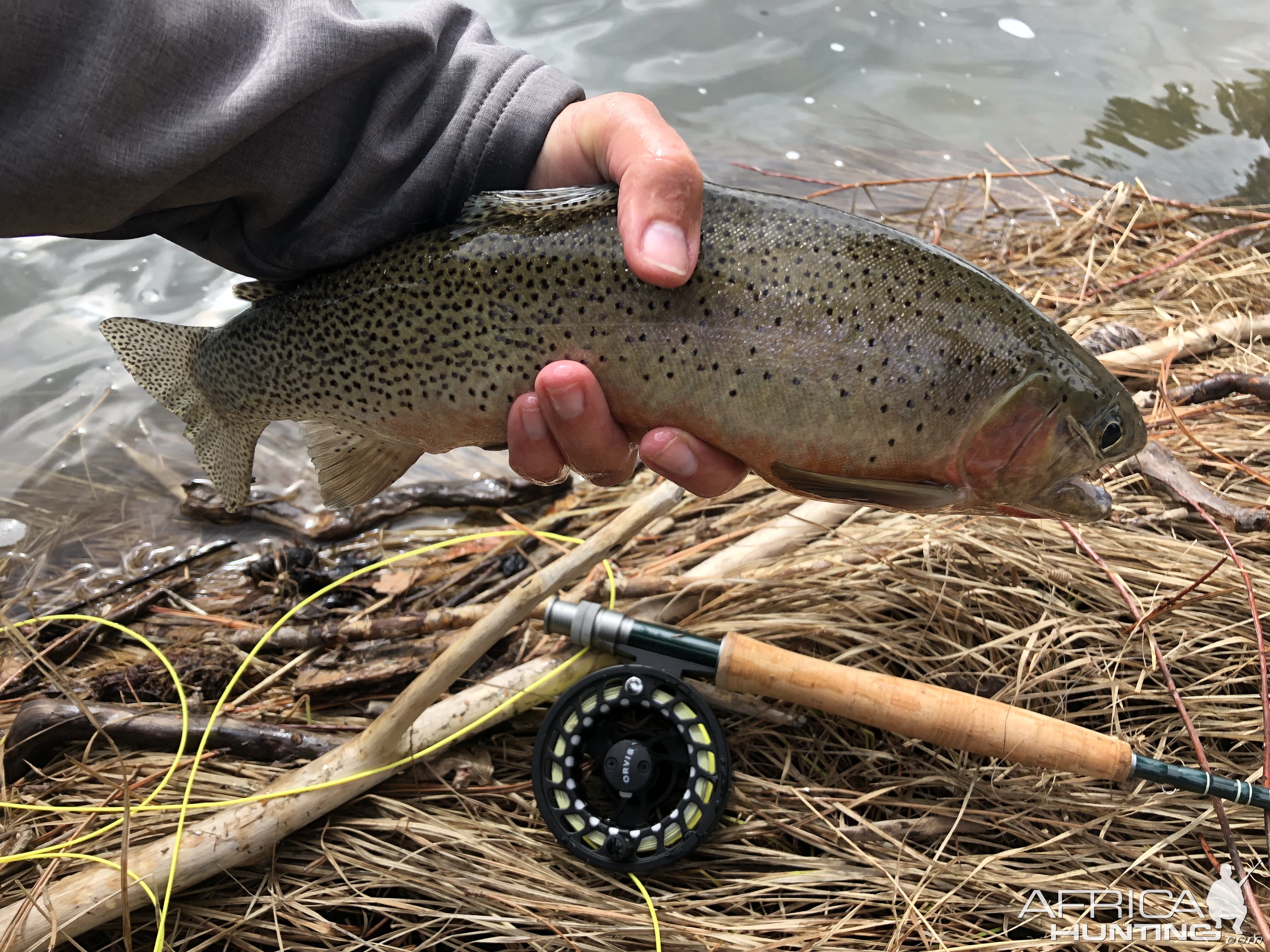 Rainbow Trout Fishing USA