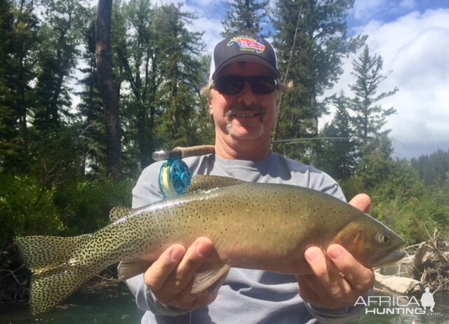 Rainbow Trout Fly Fishing Montana, Idaho & Wyoming USA