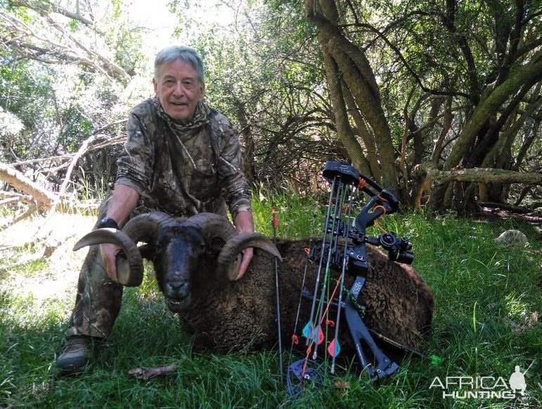 Ram Bow Hunting Argentina