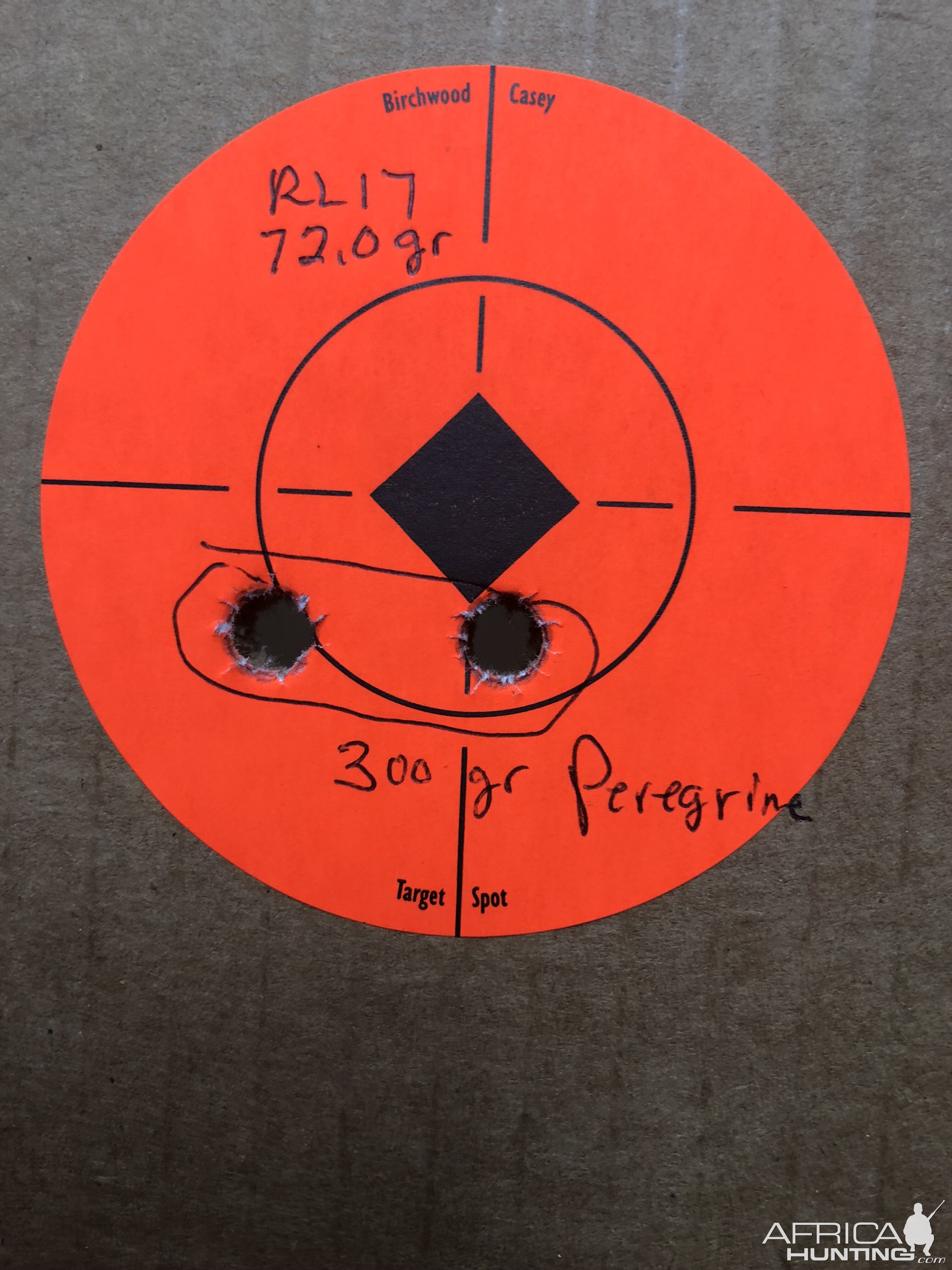 Range Shooting with 300 Gr Peregrine with 72 RL17 (different size orange dots)