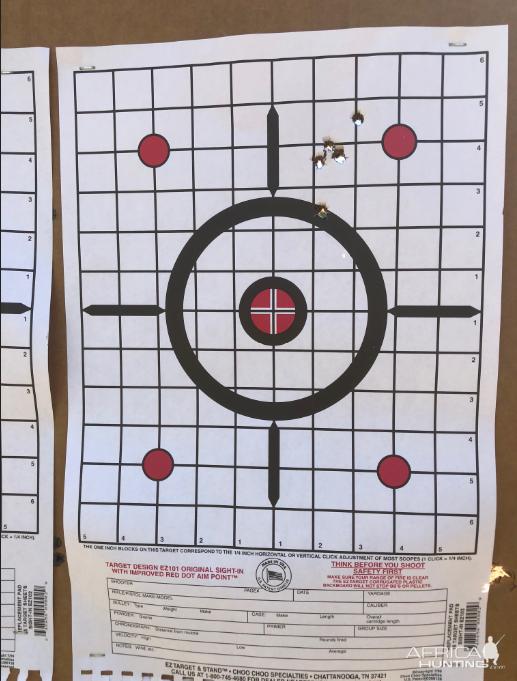 Range Shooting with Norma 156 gr Oryx