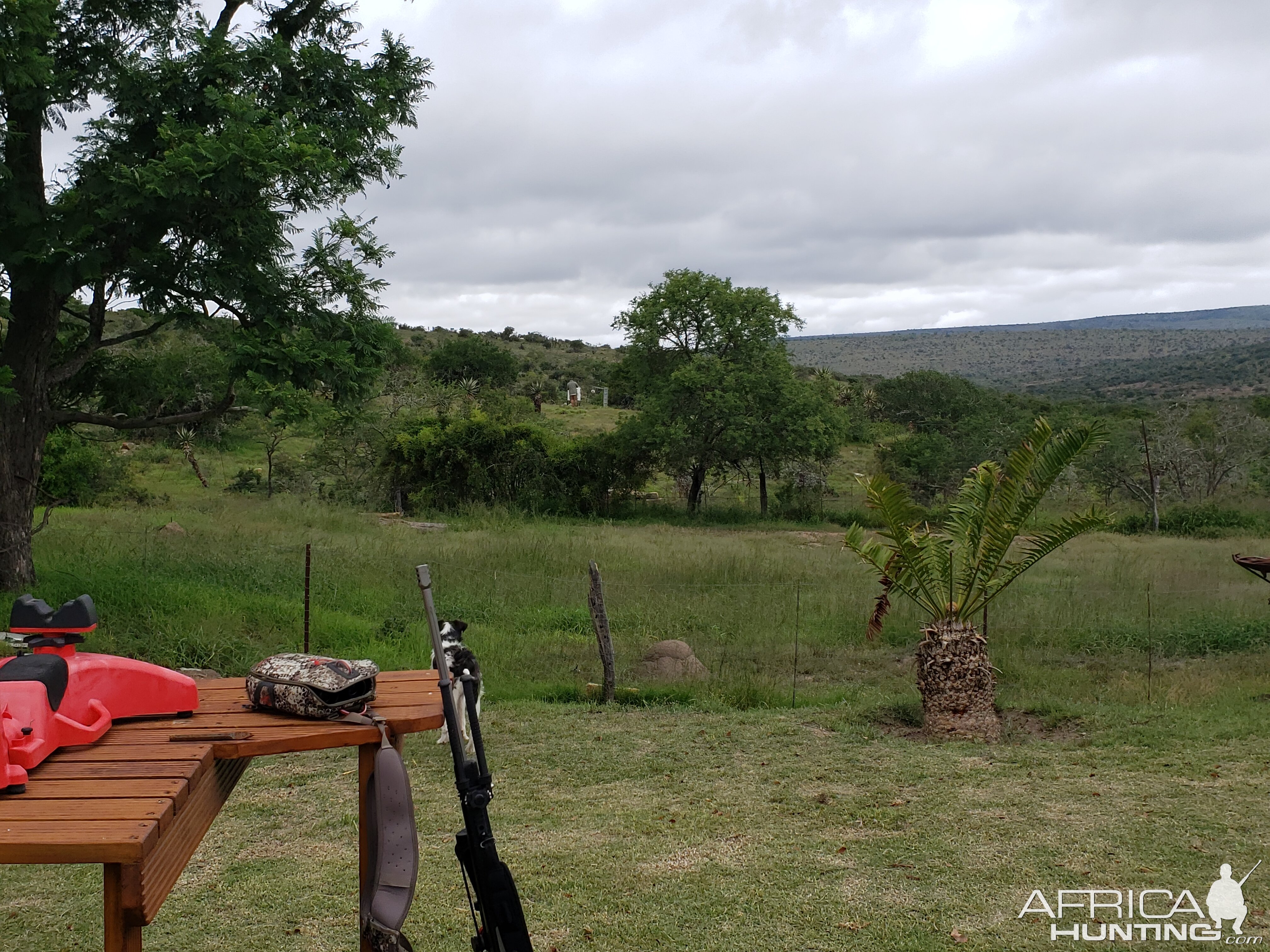 Range Shooting