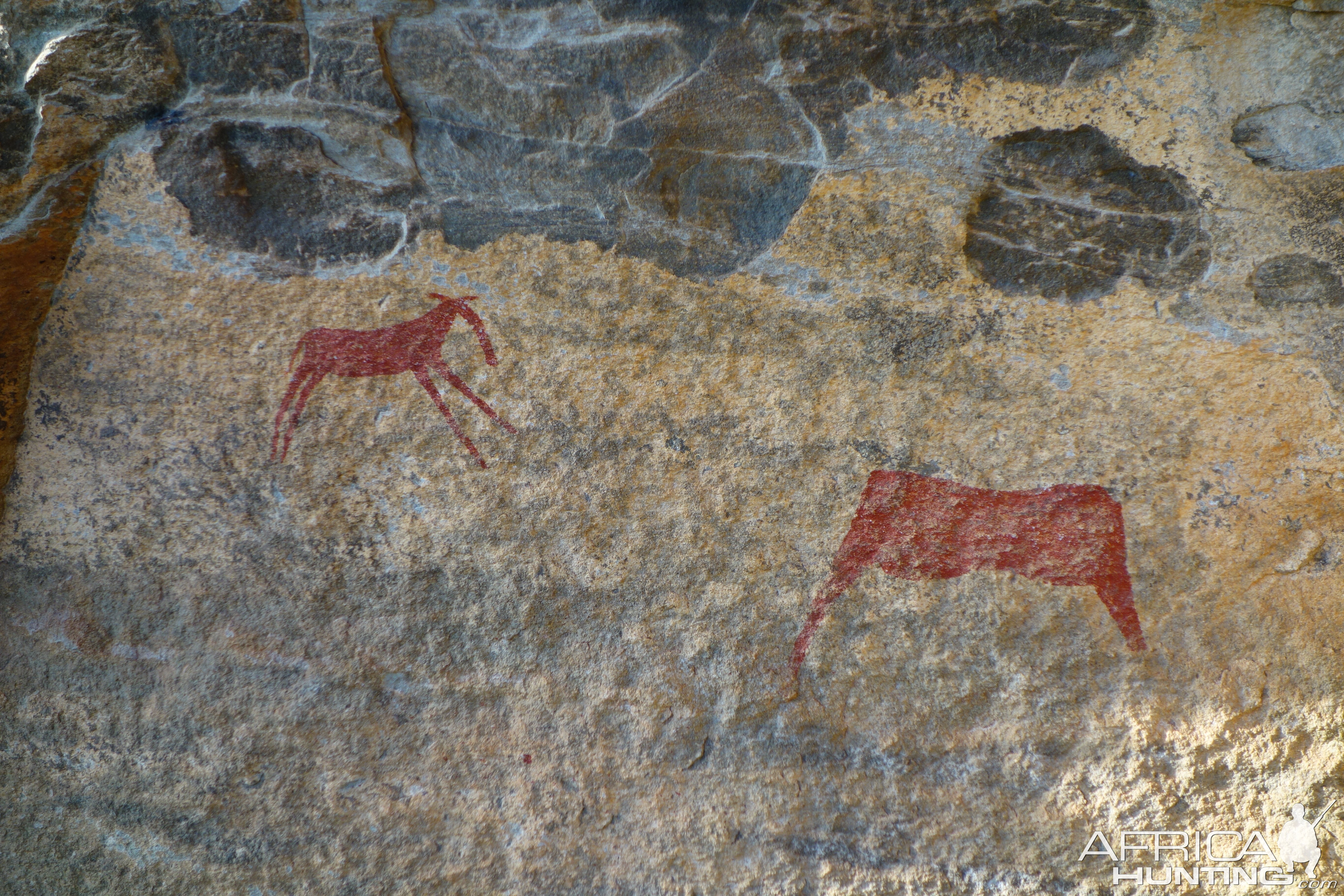 Rare rock paintings at untouched paleolithic site