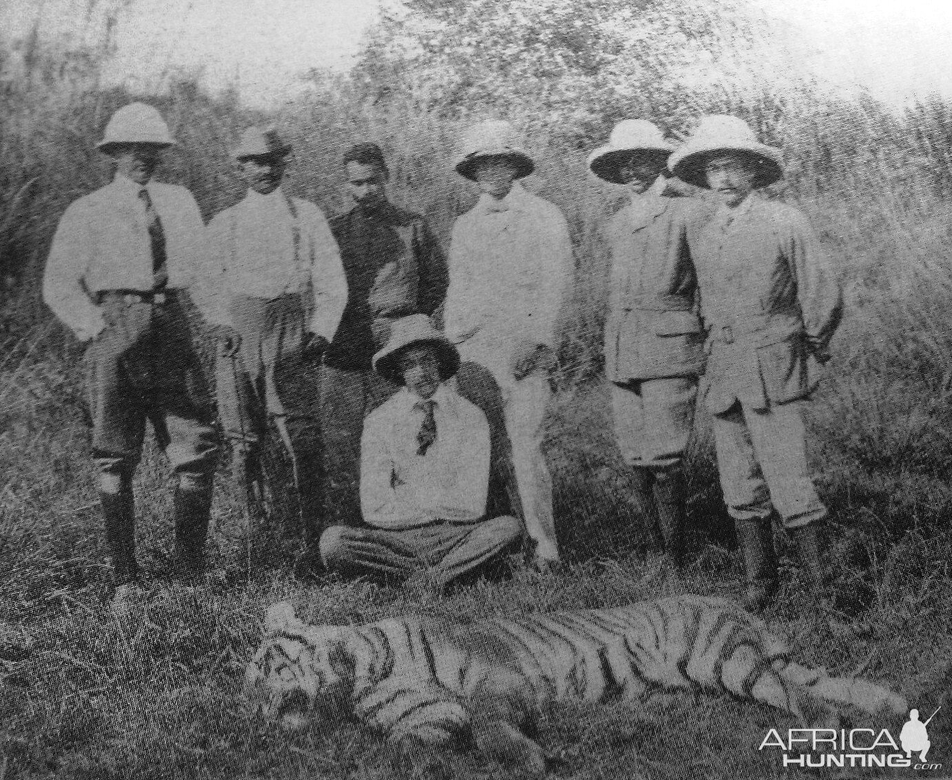 Rare Tiger hunting photographs from 1895 to 1907