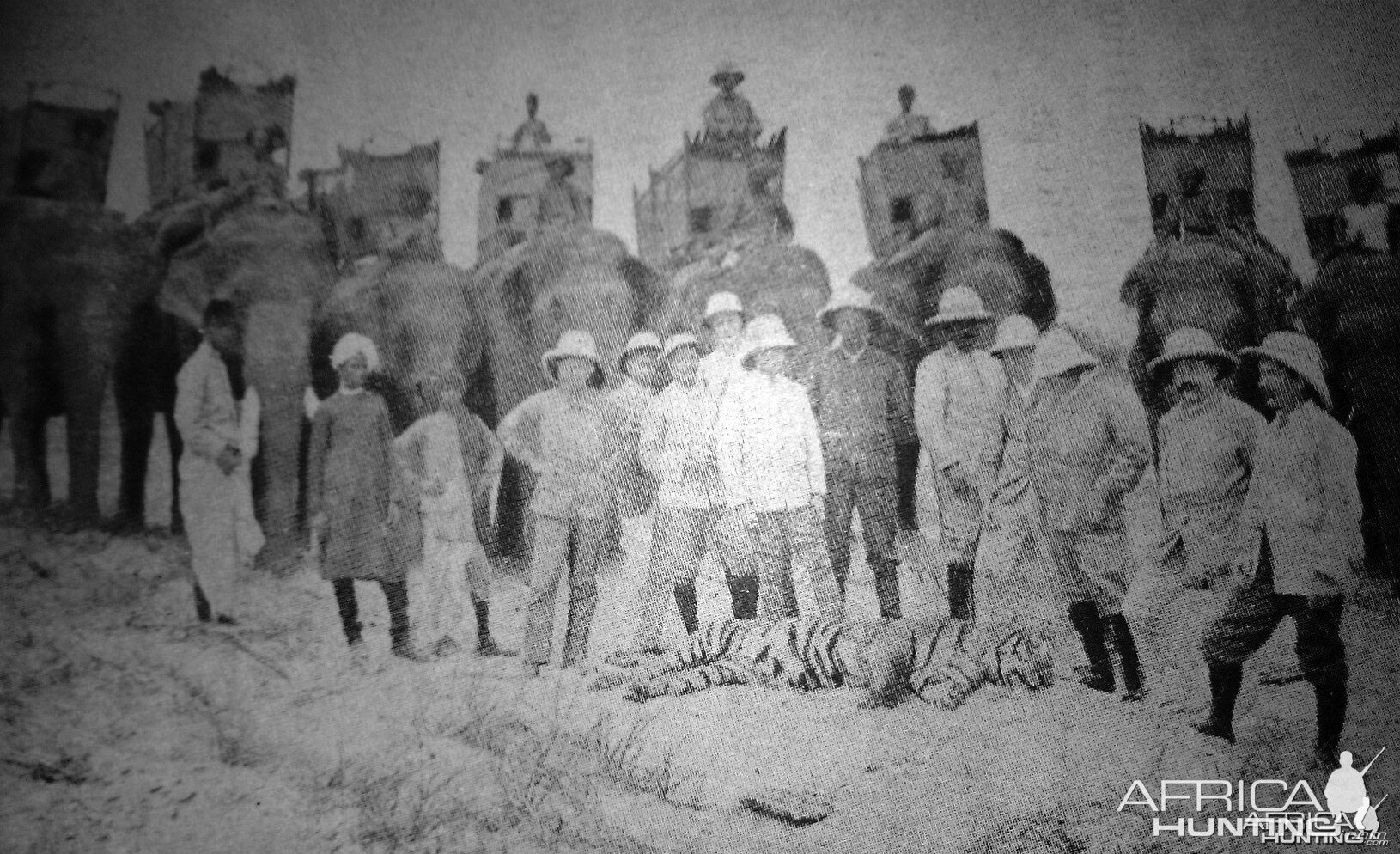 Rare Tiger hunting photographs from 1895 to 1907