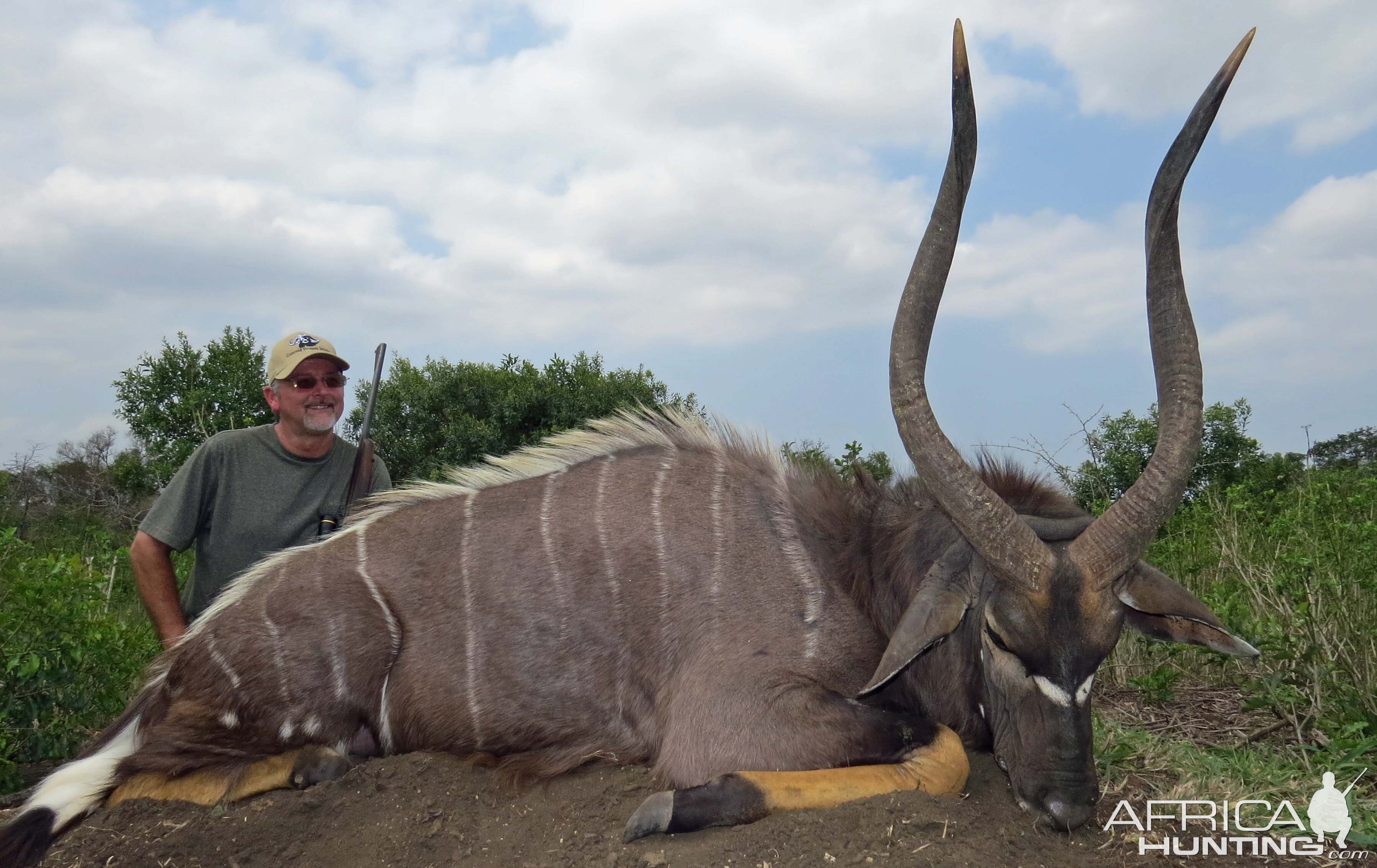 Really good Nyala taken on Buff hunt, also 31", Kwa Zulu Natal, home of the Nyala