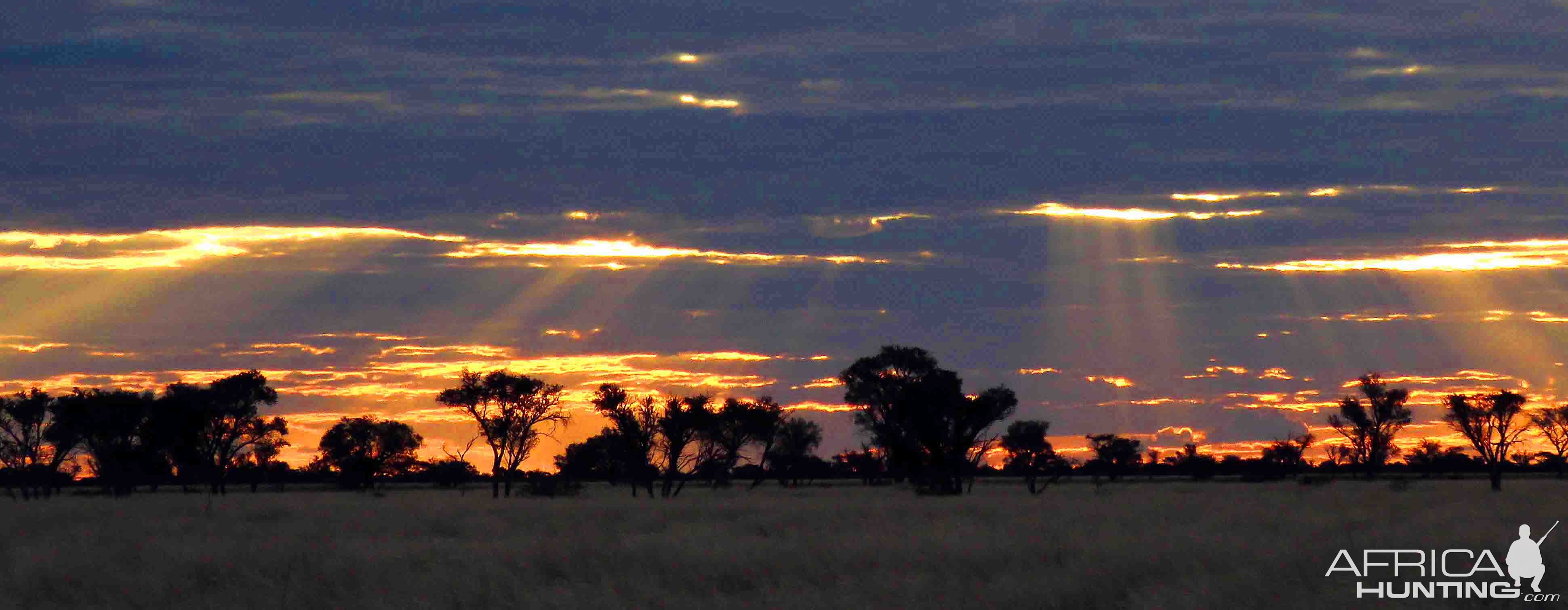 recent safari pics, sunset