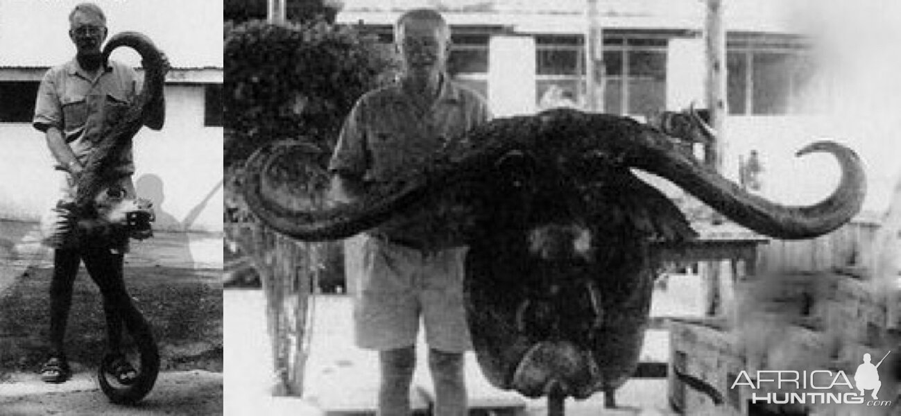 Record Buffalo