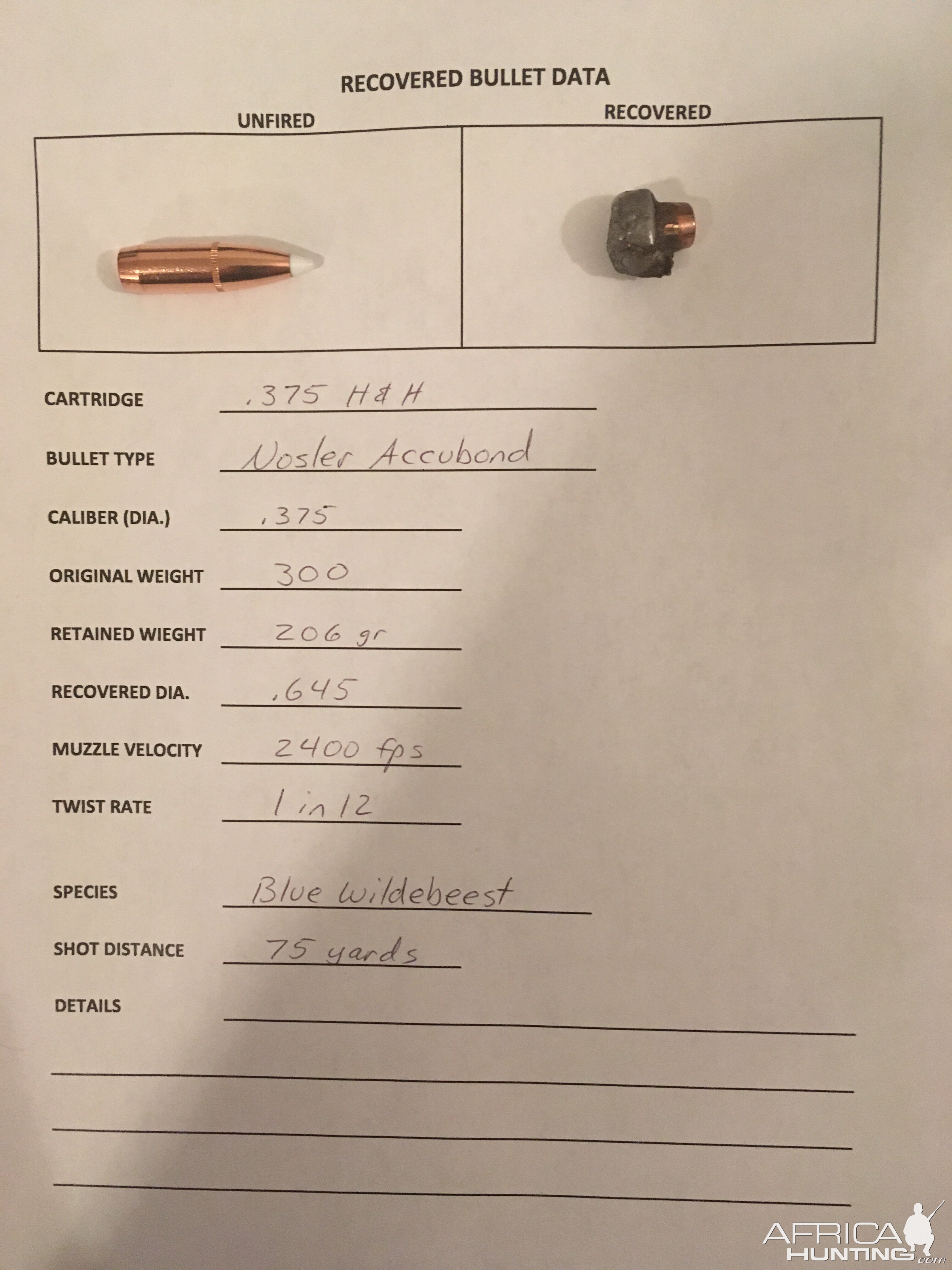 Recovered Bullet Data for Blue Wildebeest