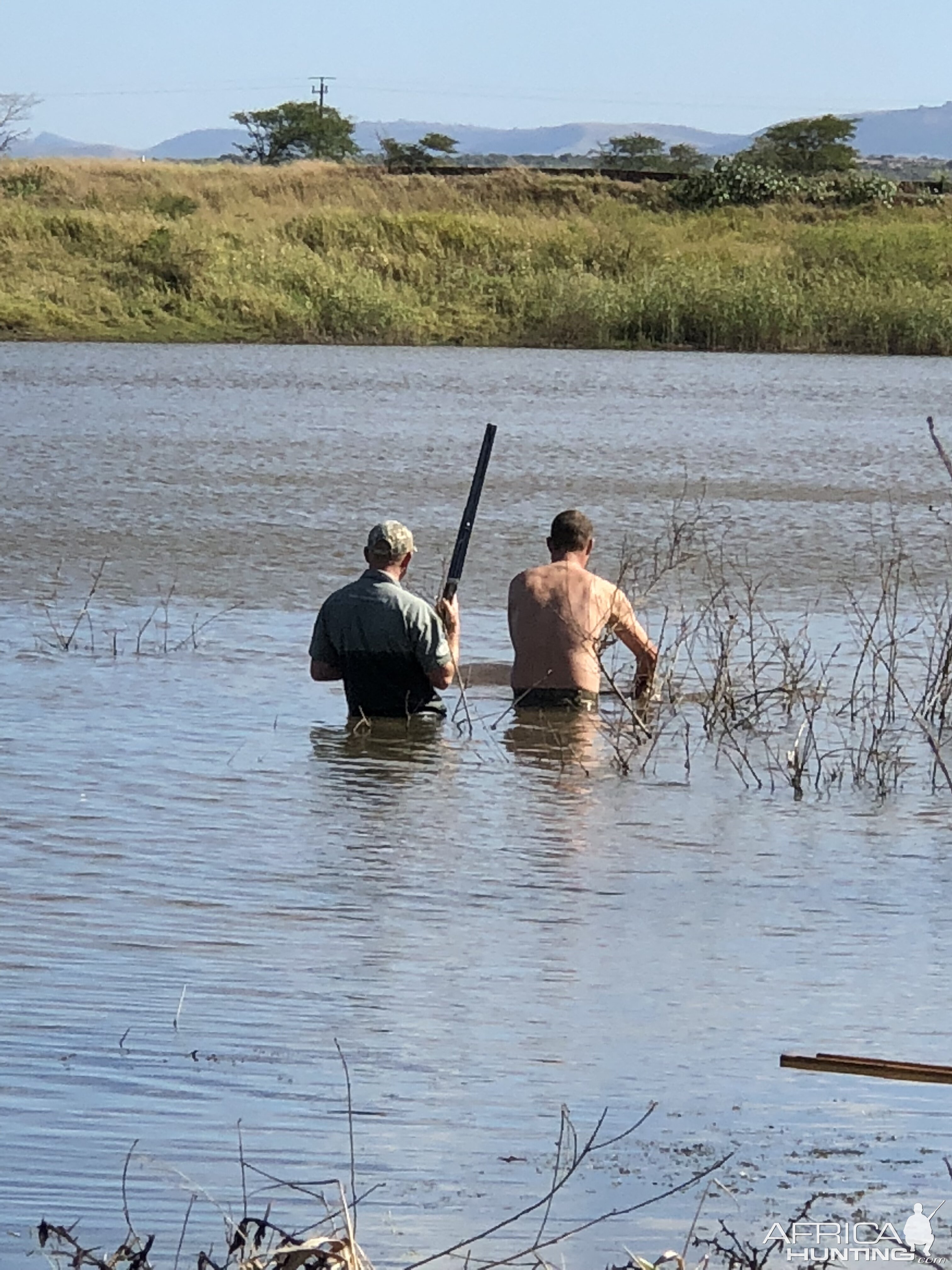 Recovering Hippo from Water