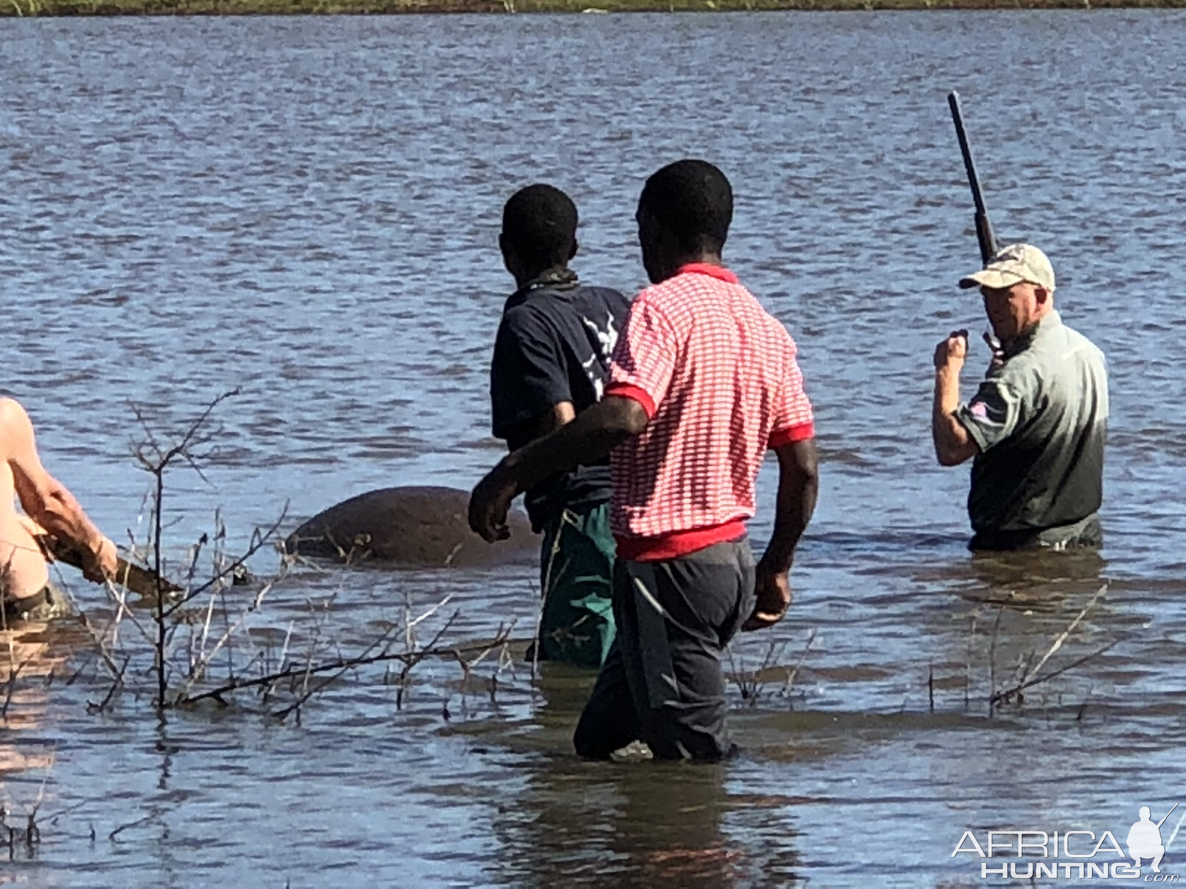 Recovering Hippo from Water