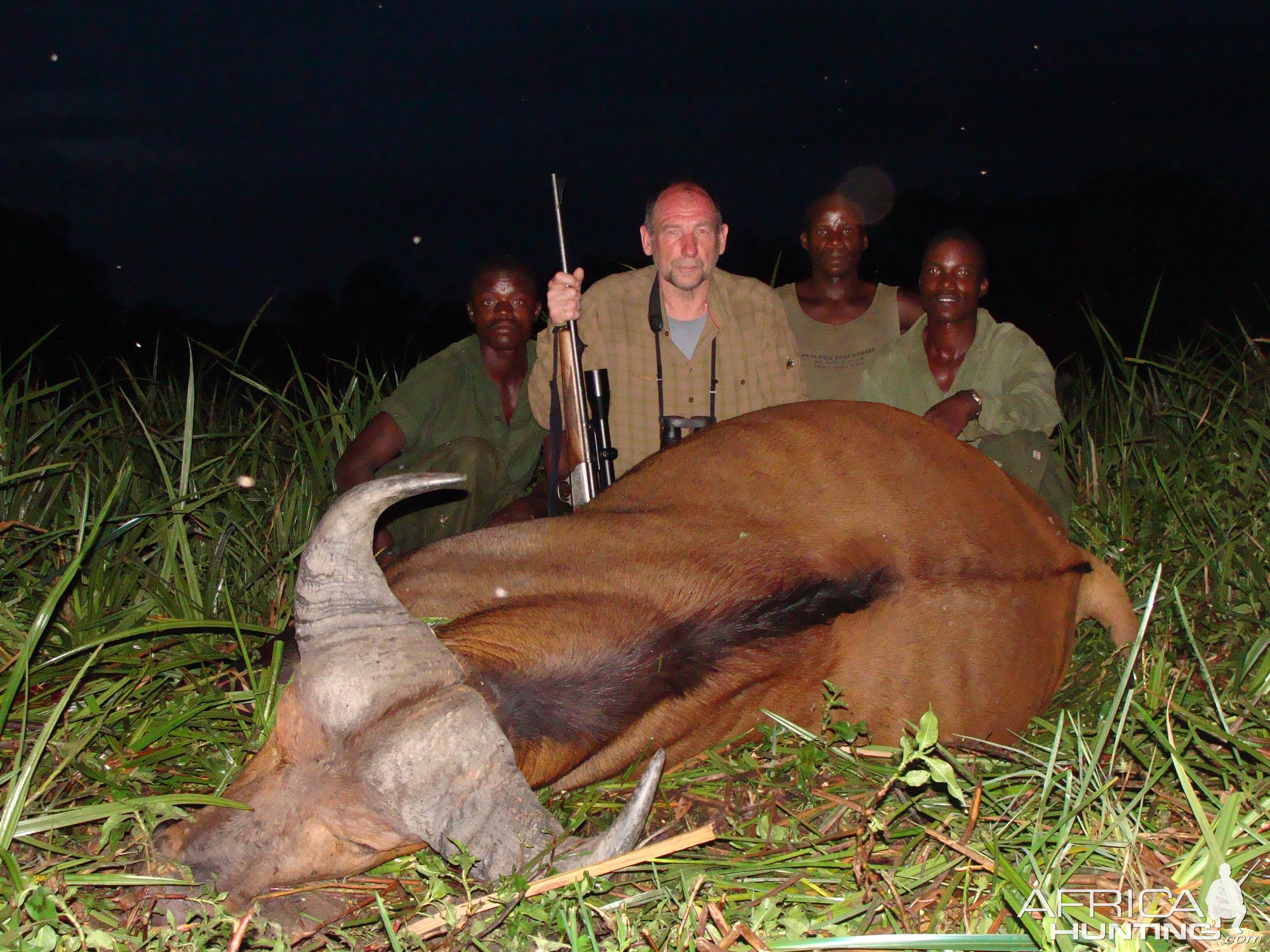 Red Buffalo hunted in CAR with Central African Wildlife Adventures